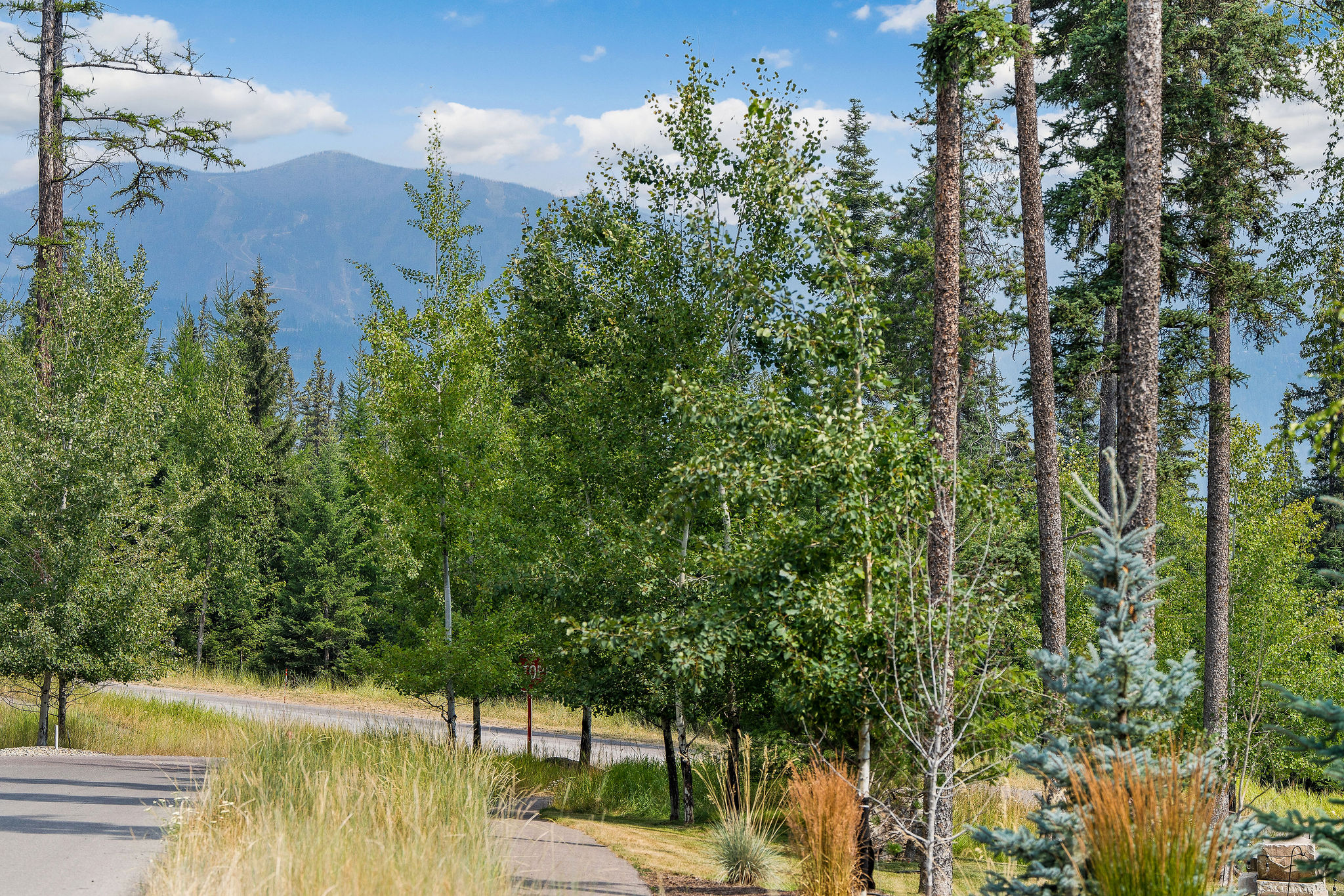 1 Merganser Court