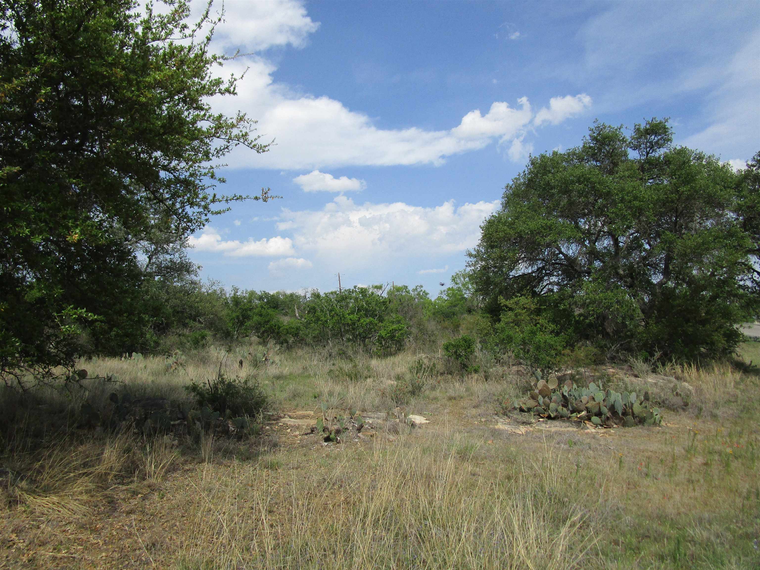 173 Desert Rose Streets