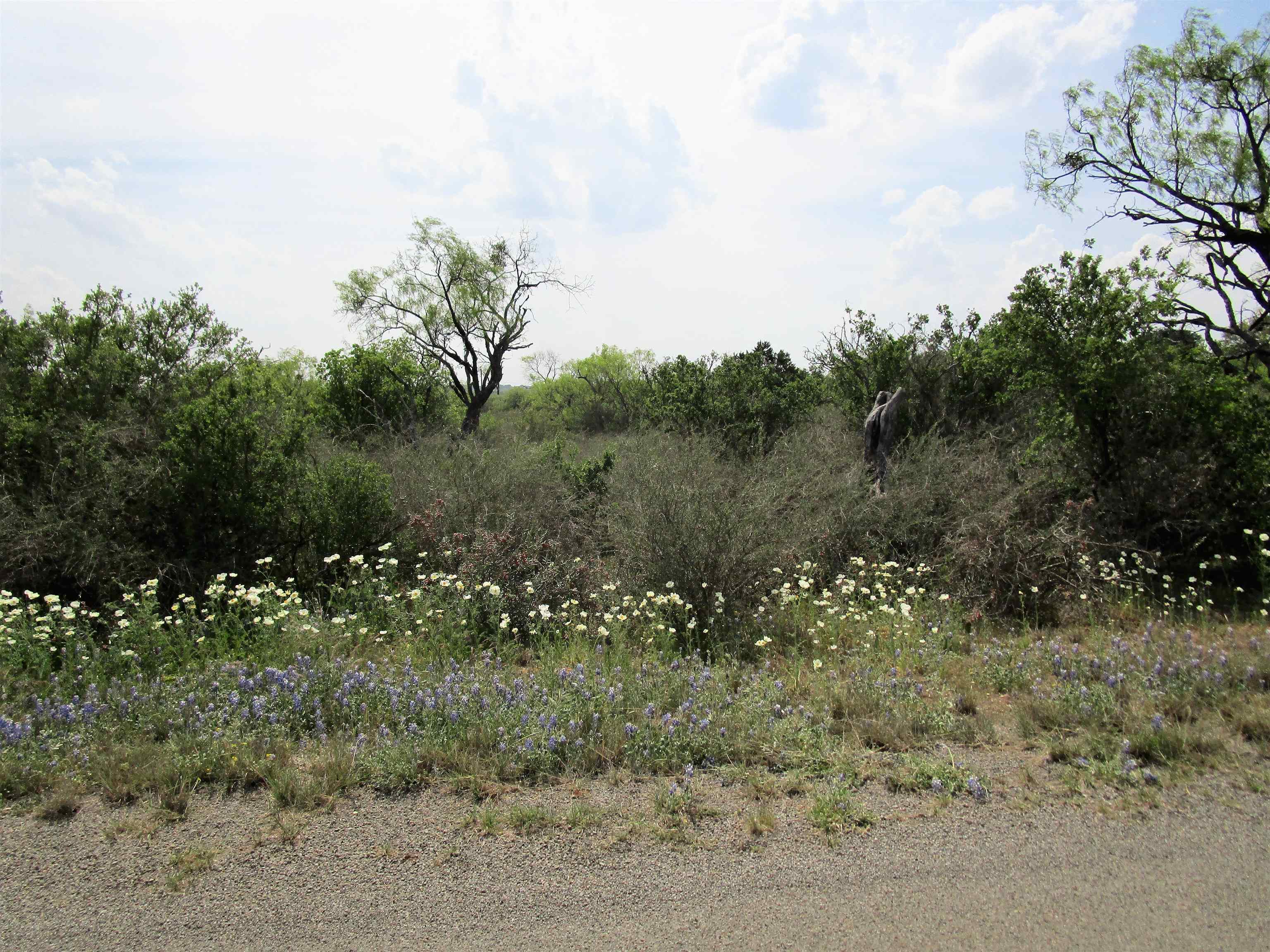 173 Desert Rose Streets