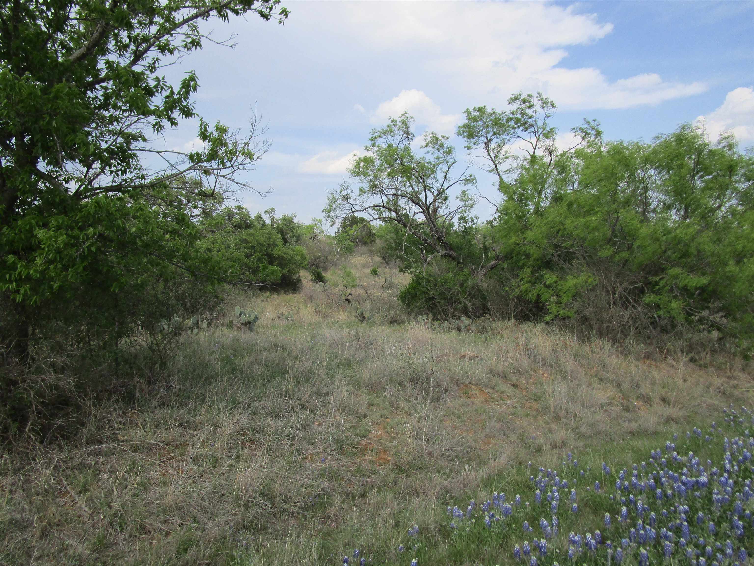 173 Desert Rose Streets