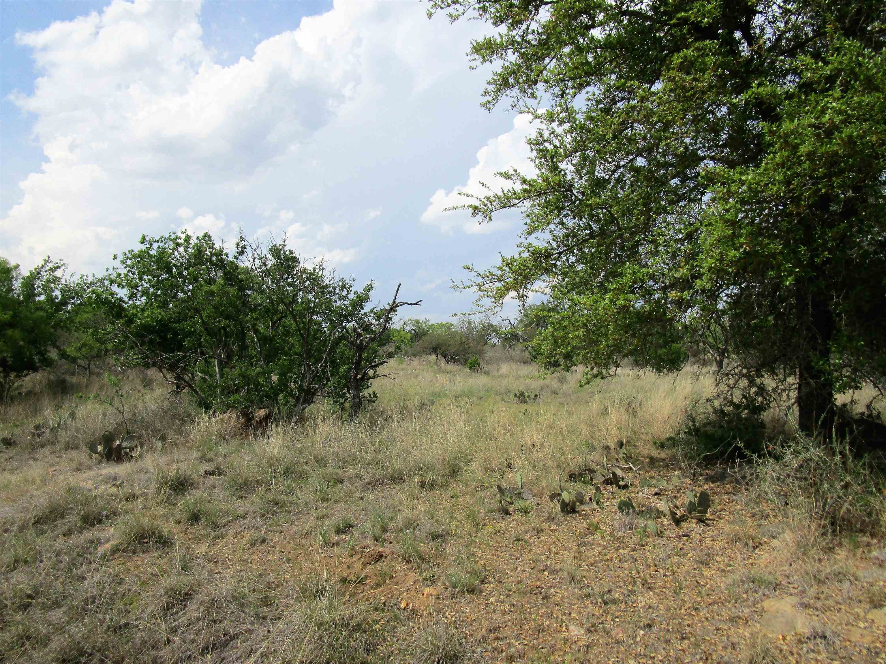 173 Desert Rose Streets