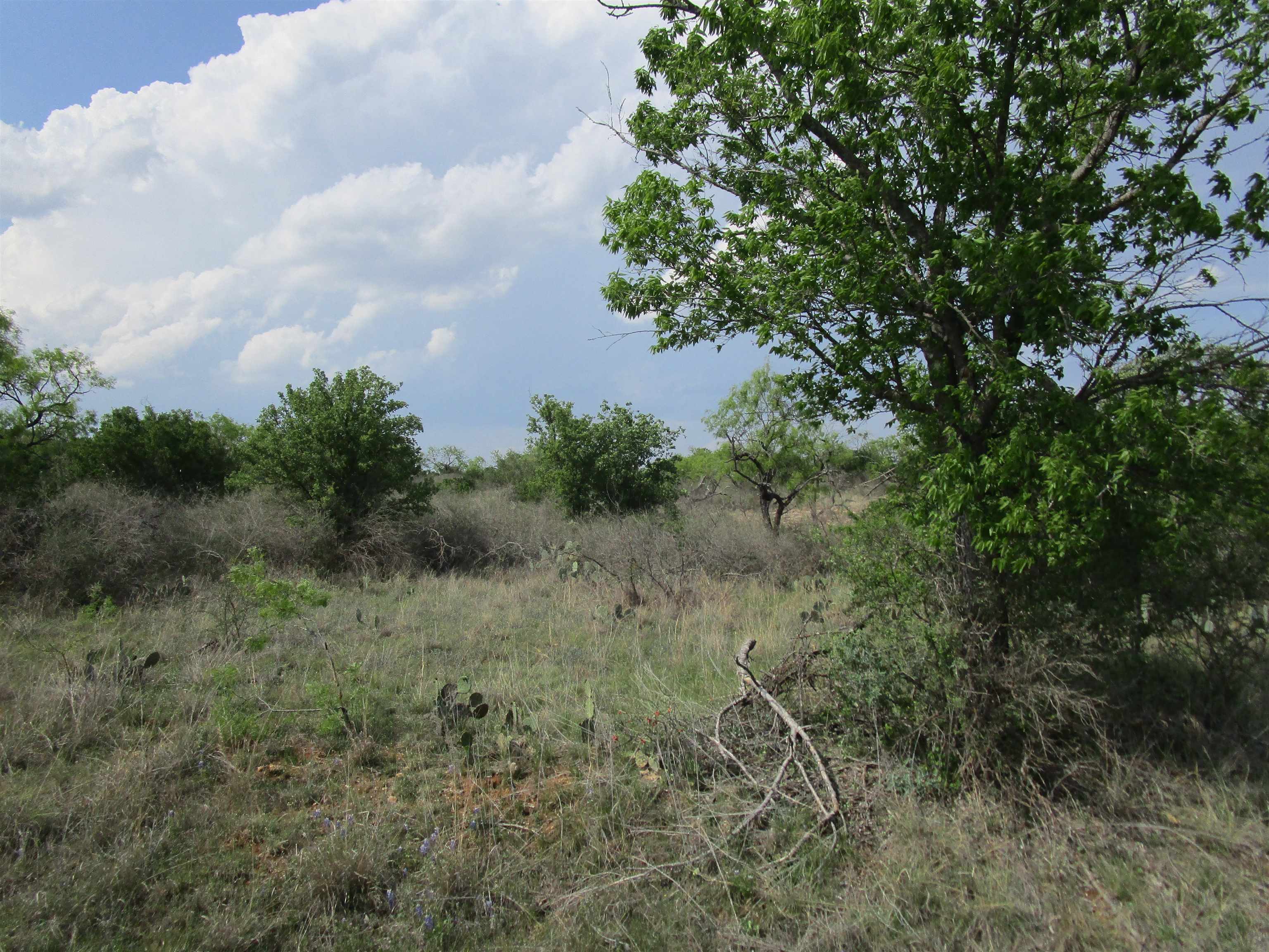 173 Desert Rose Streets