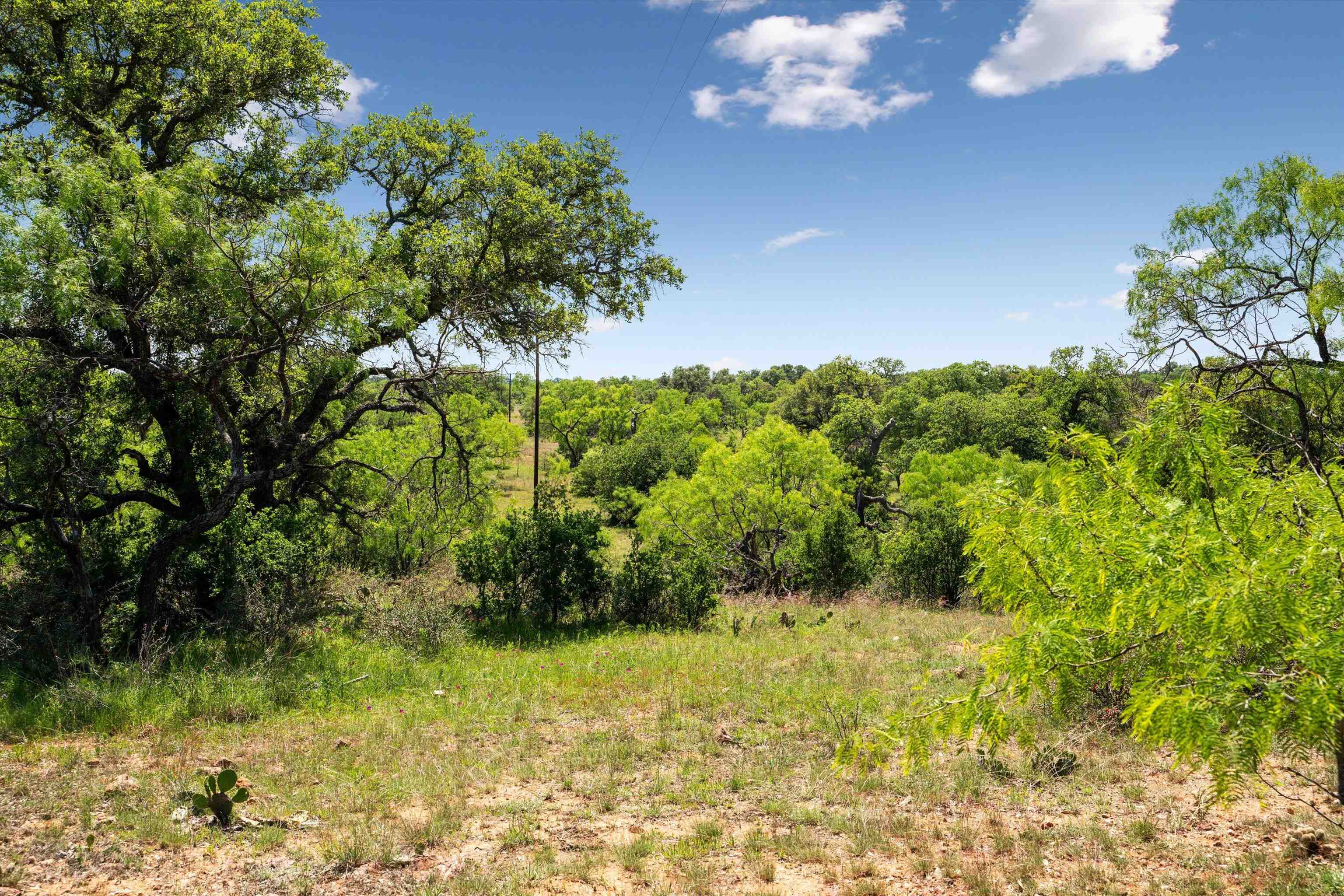 TBD County Road 405A