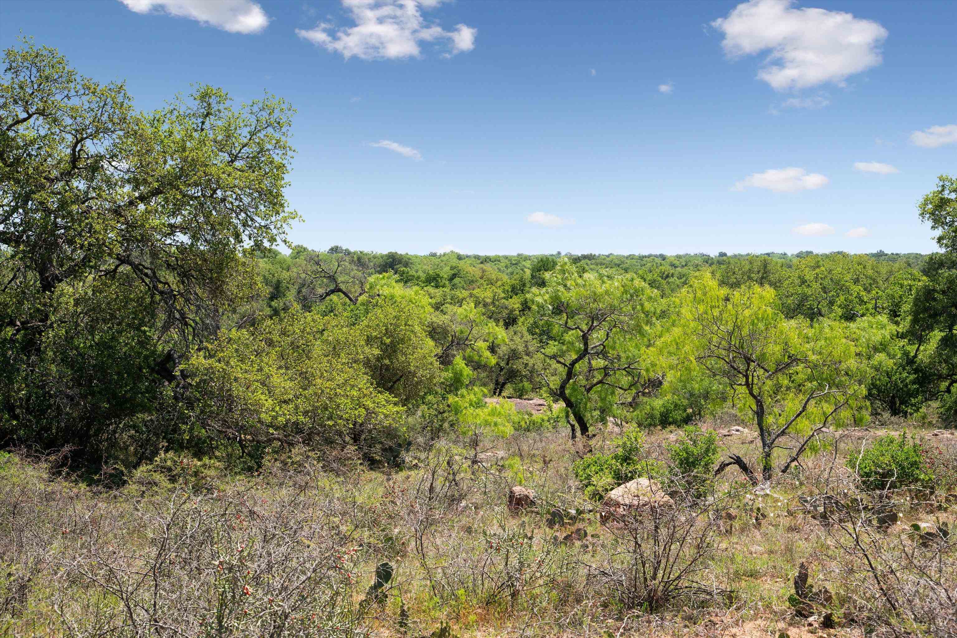 TBD County Road 405A