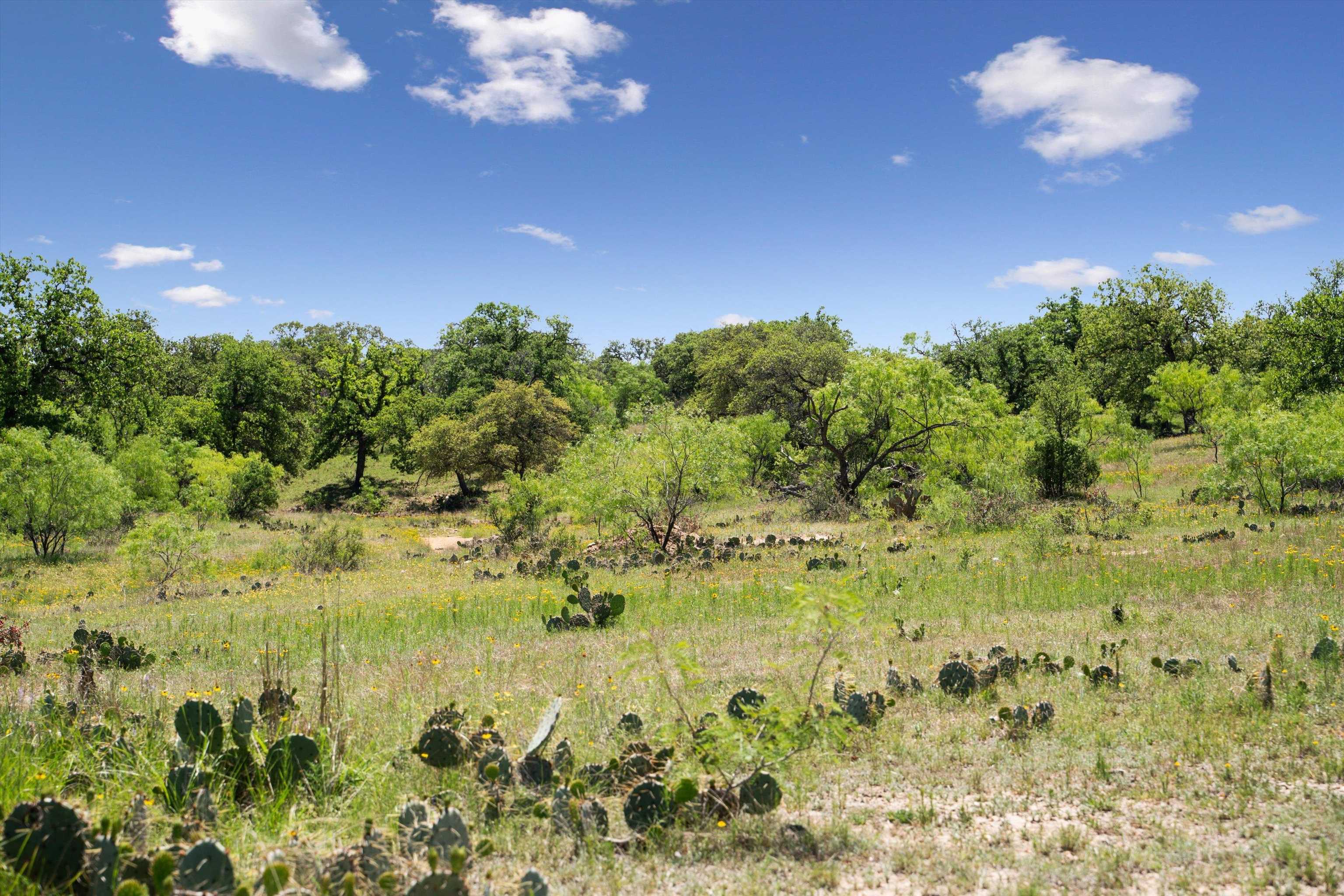 TBD County Road 405A