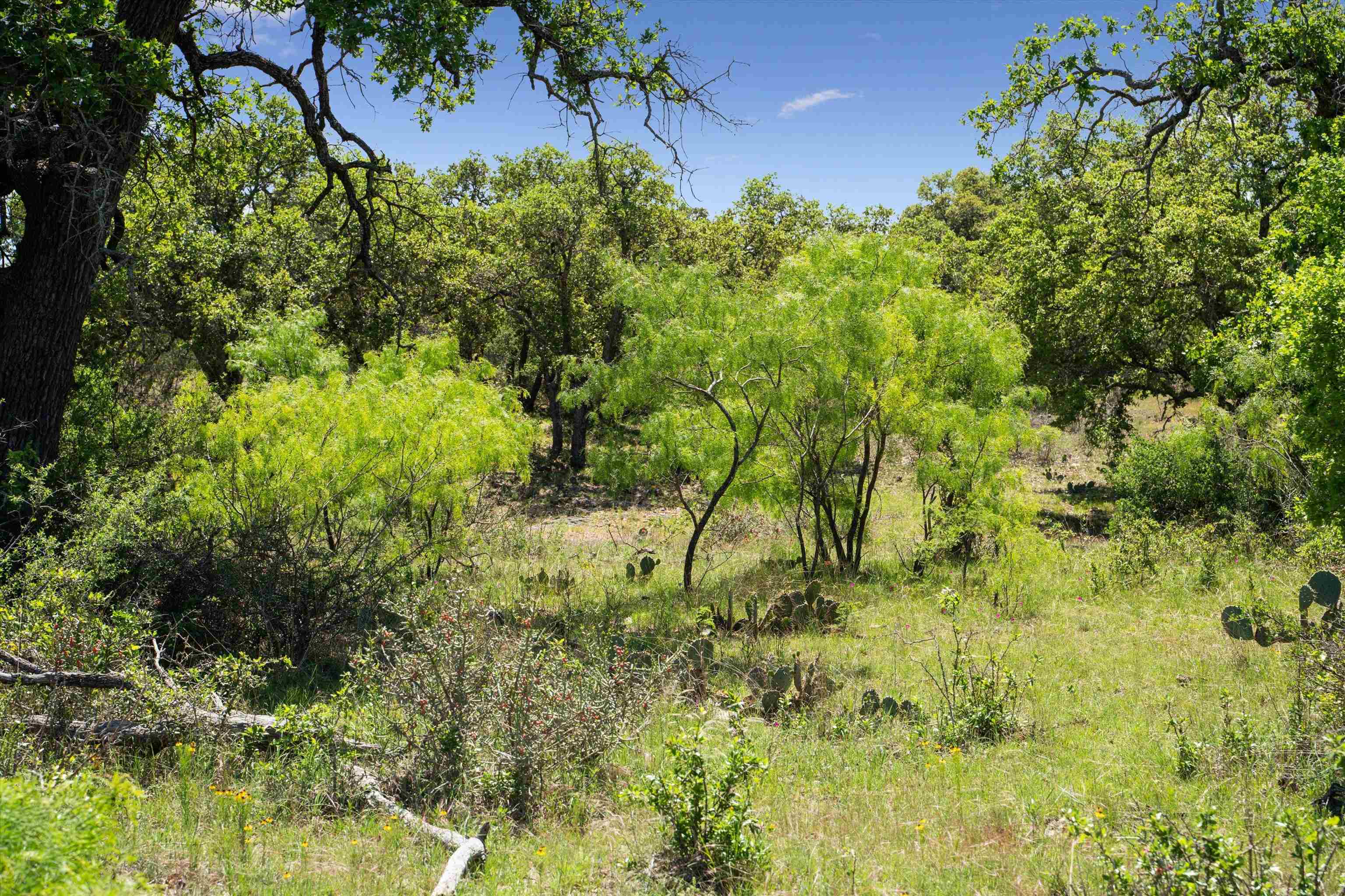 TBD County Road 405A