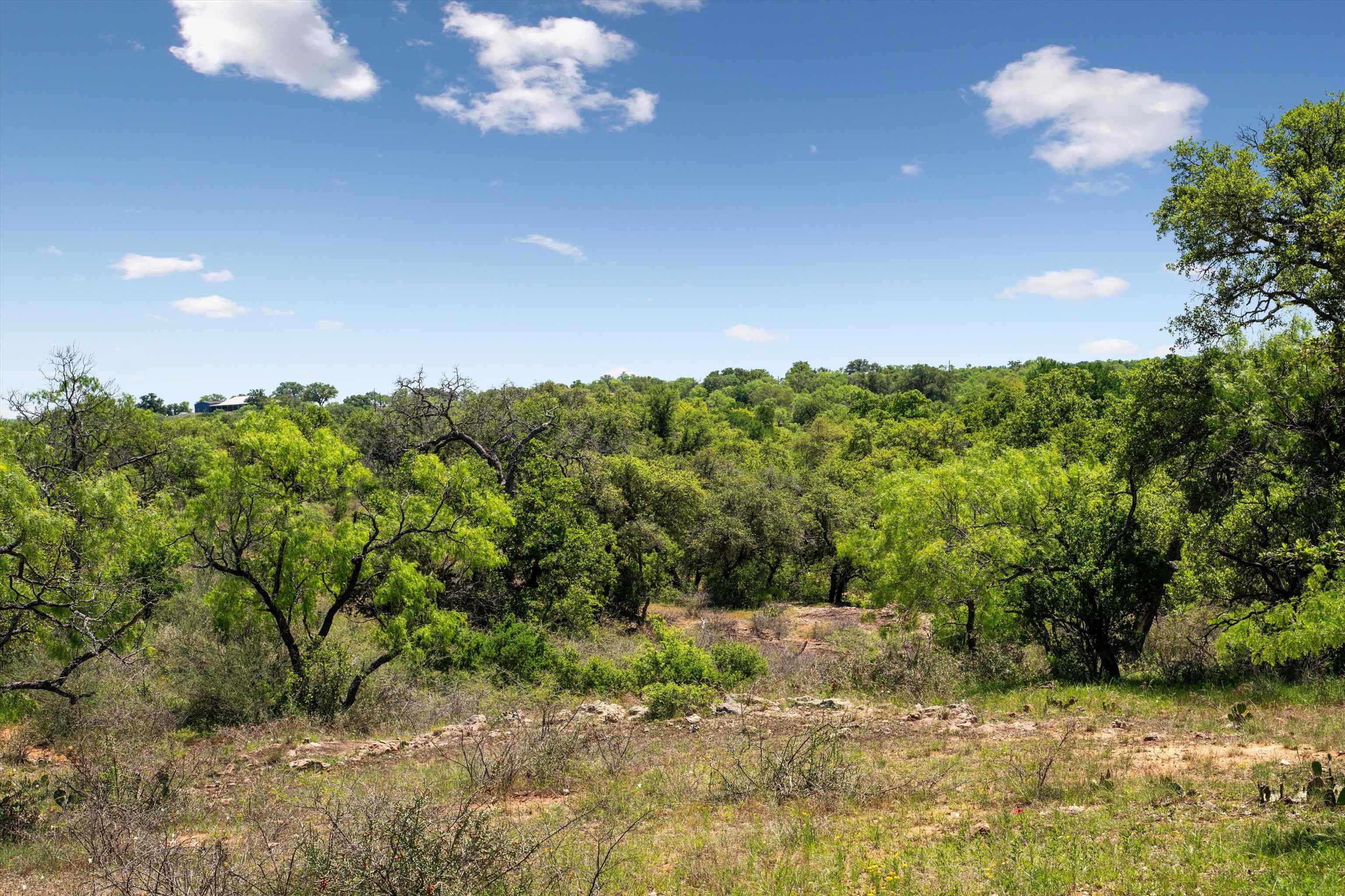 TBD County Road 405A