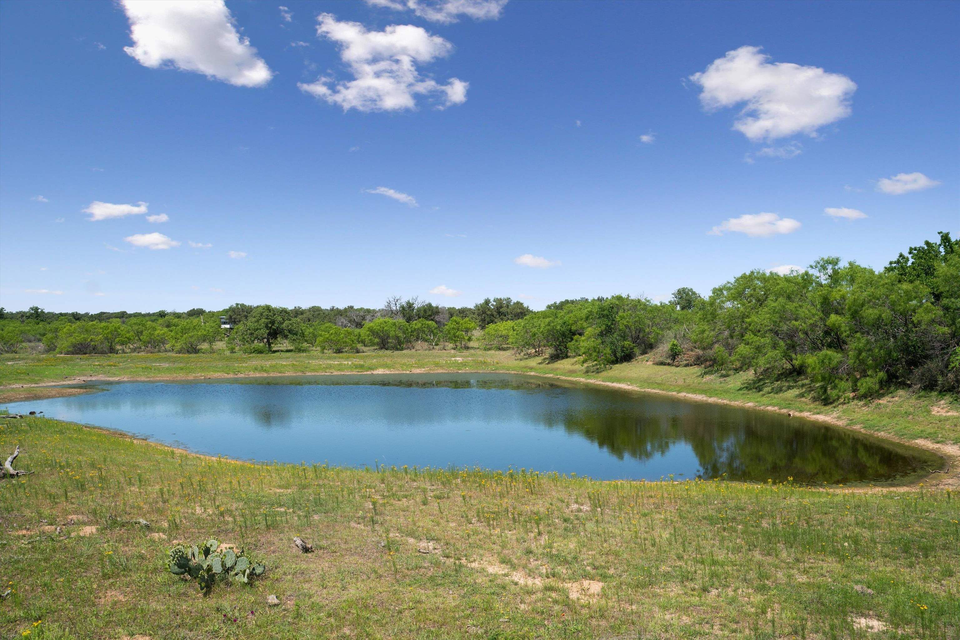 TBD County Road 405A
