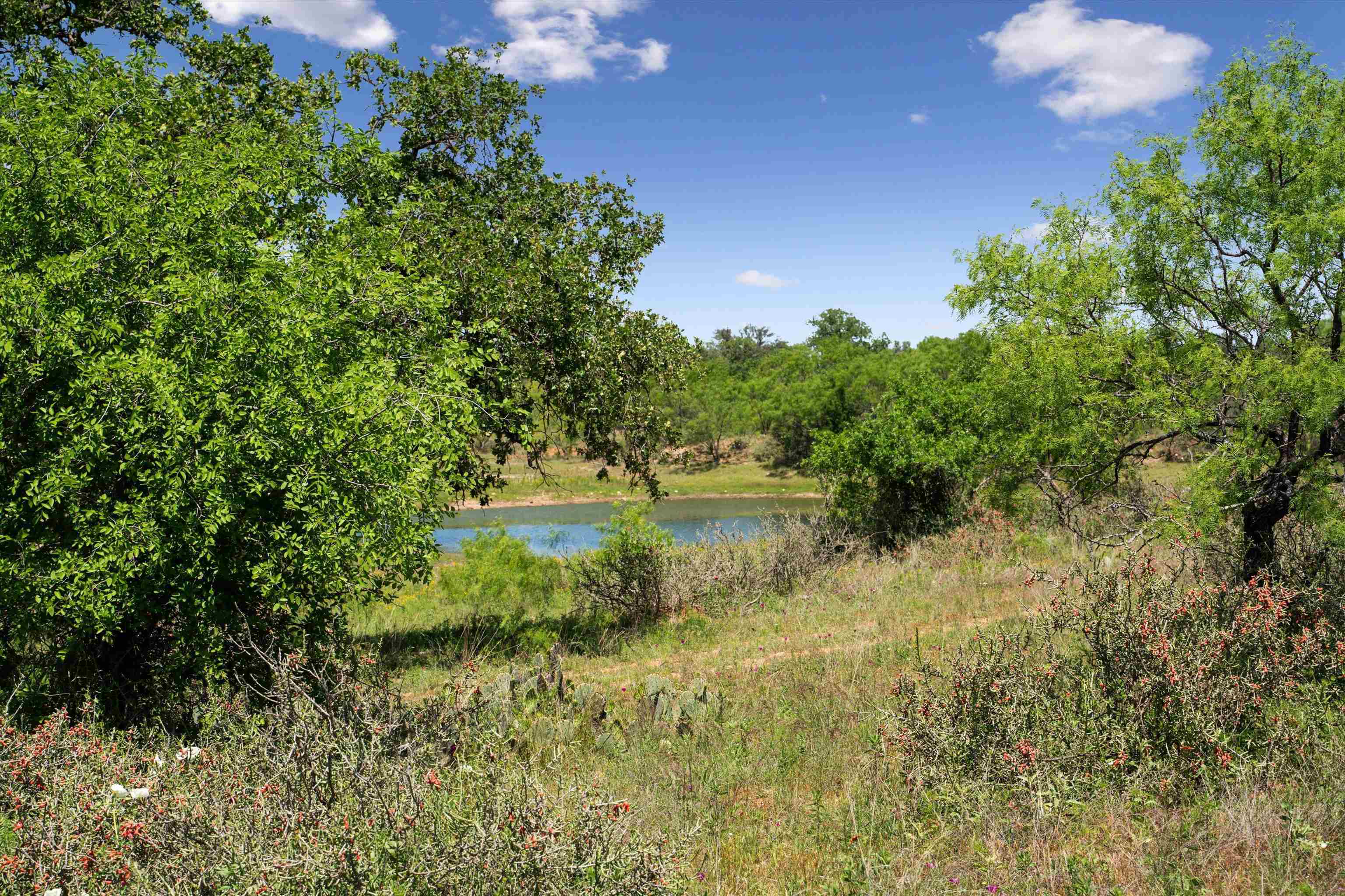 TBD County Road 405A
