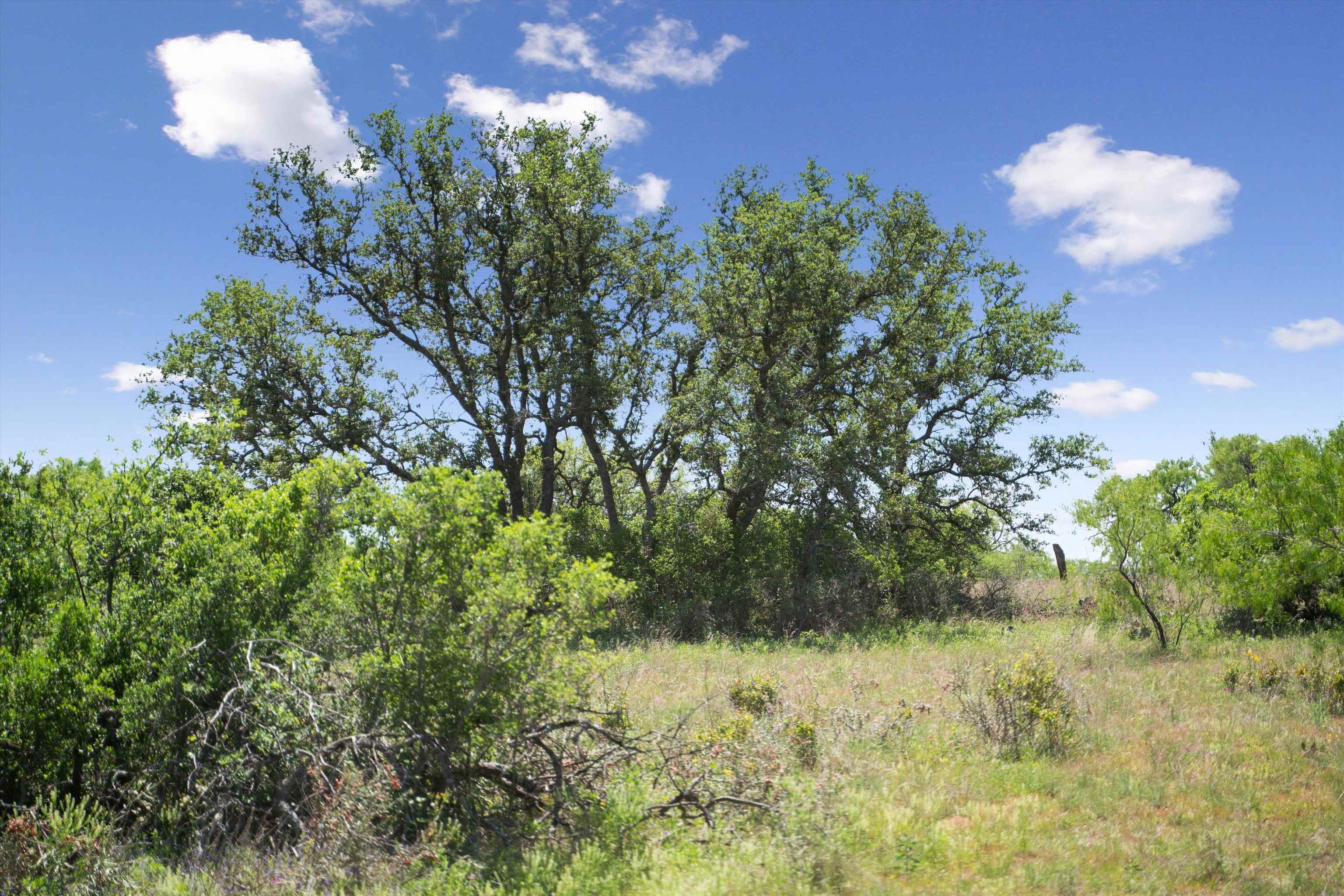 TBD County Road 405A