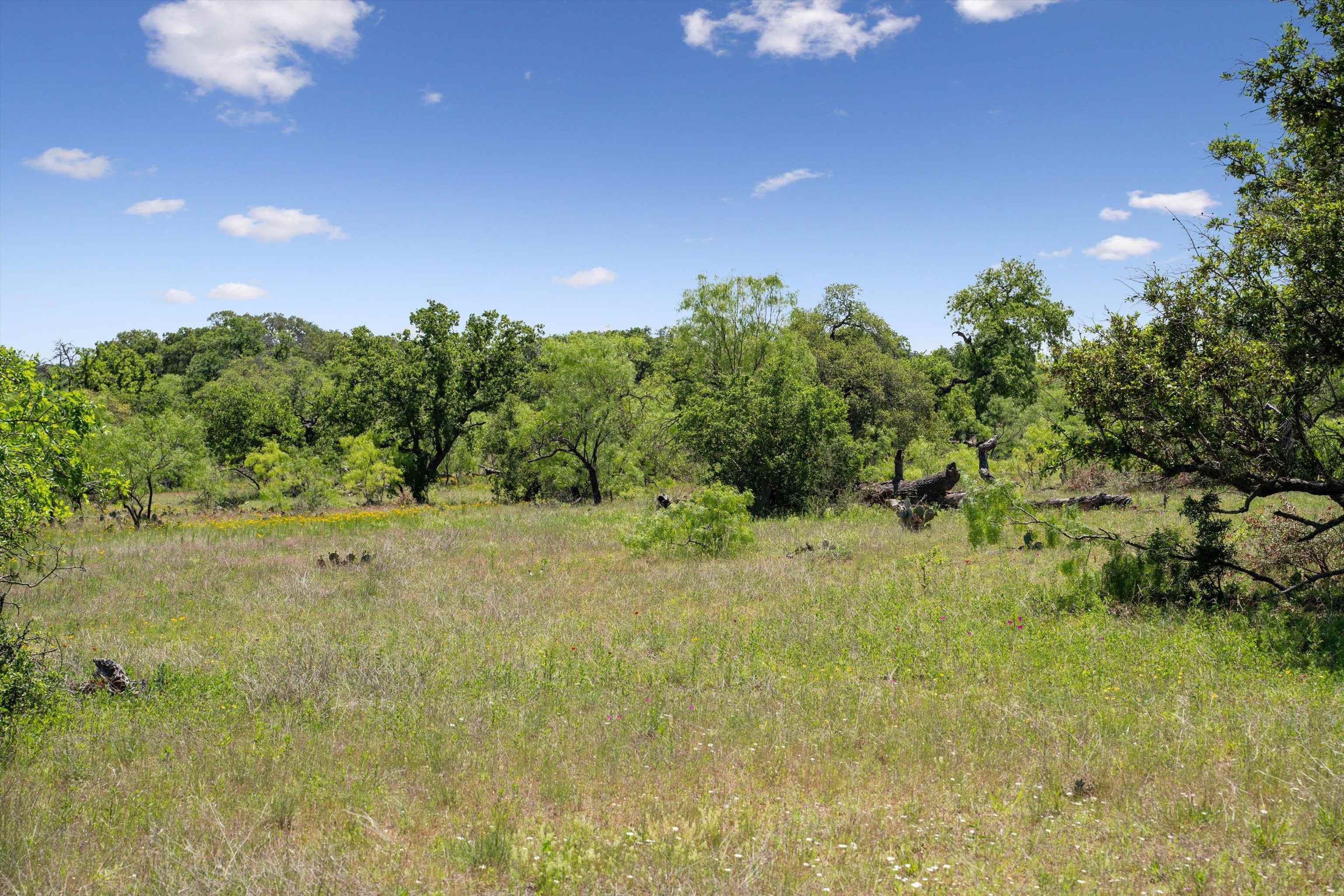 TBD County Road 405A