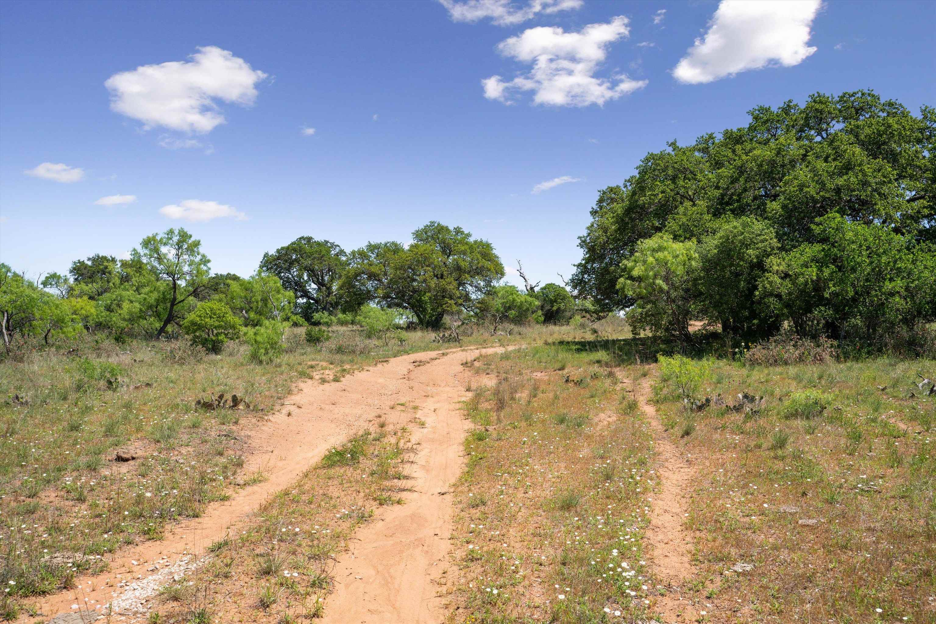 TBD County Road 405A