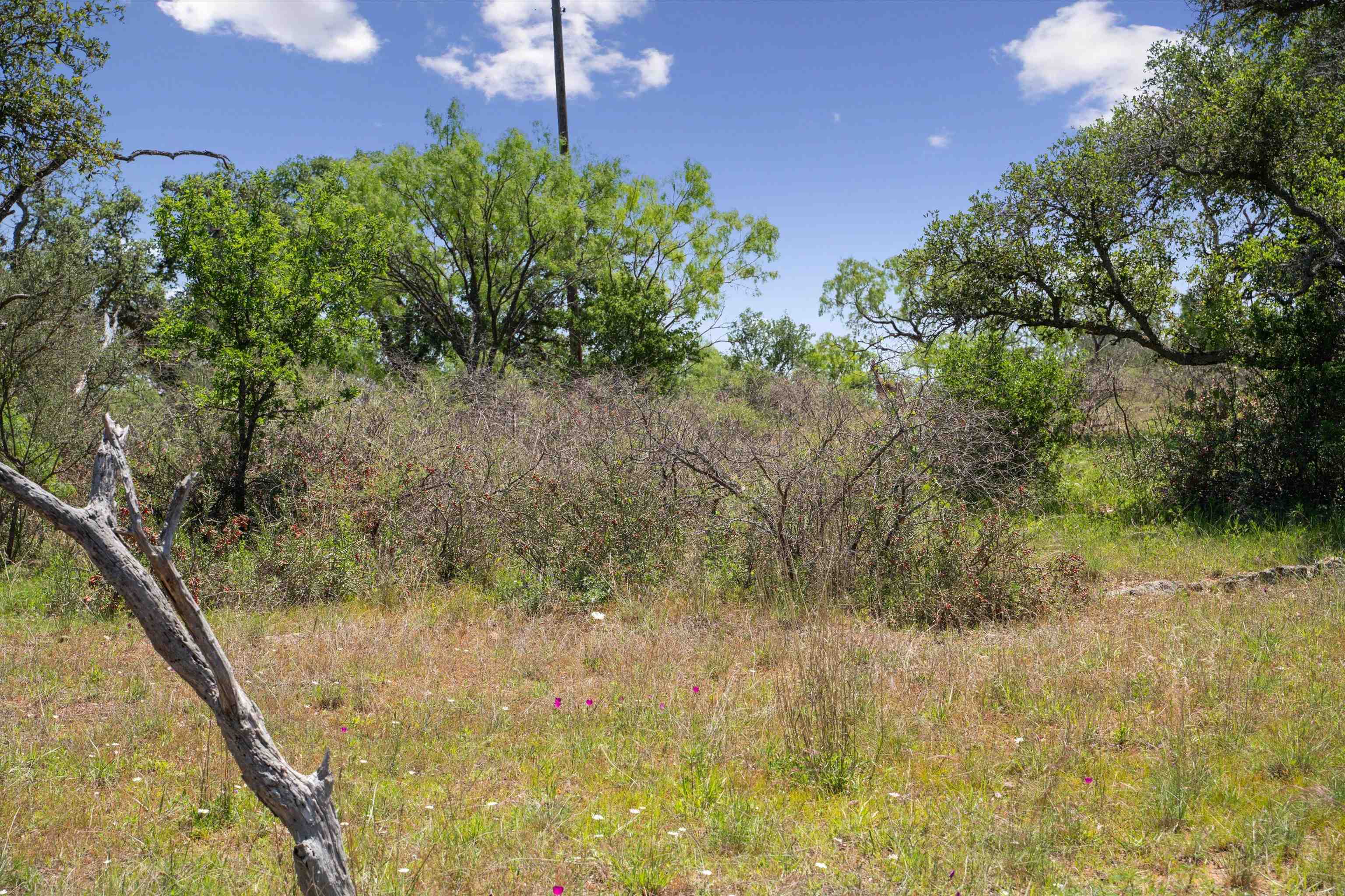 TBD County Road 405A