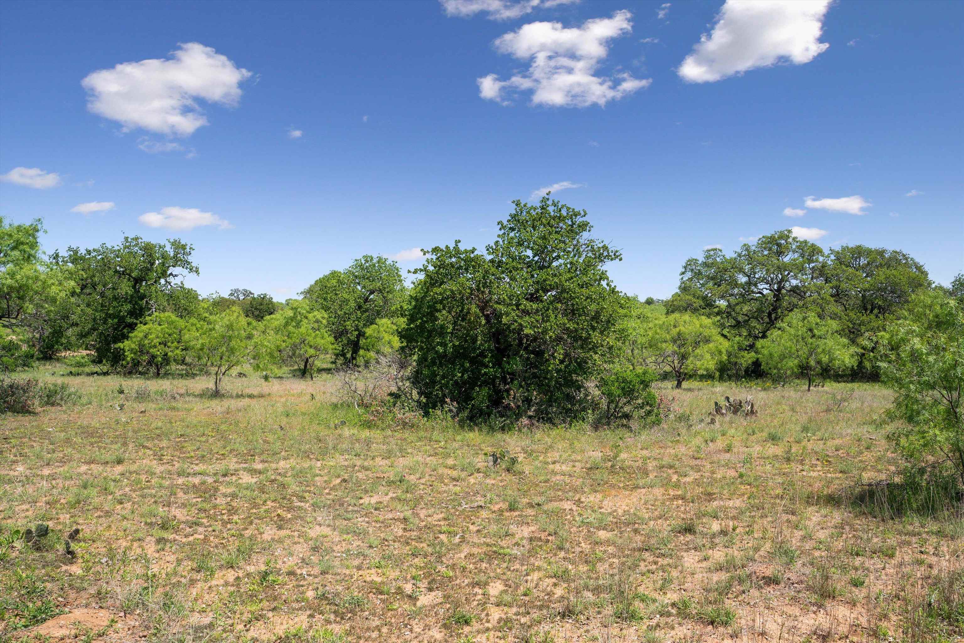 TBD County Road 405A