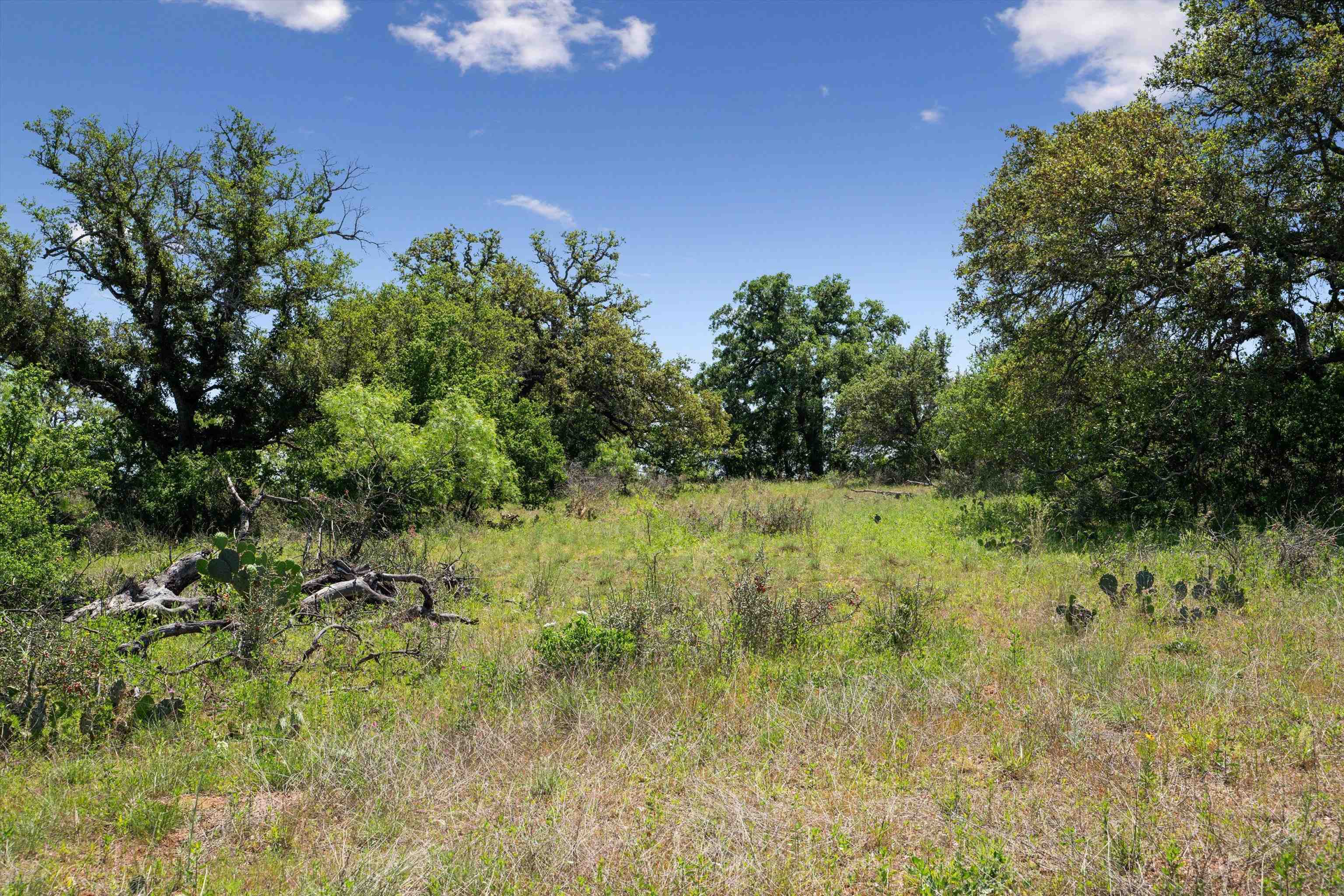 TBD County Road 405A