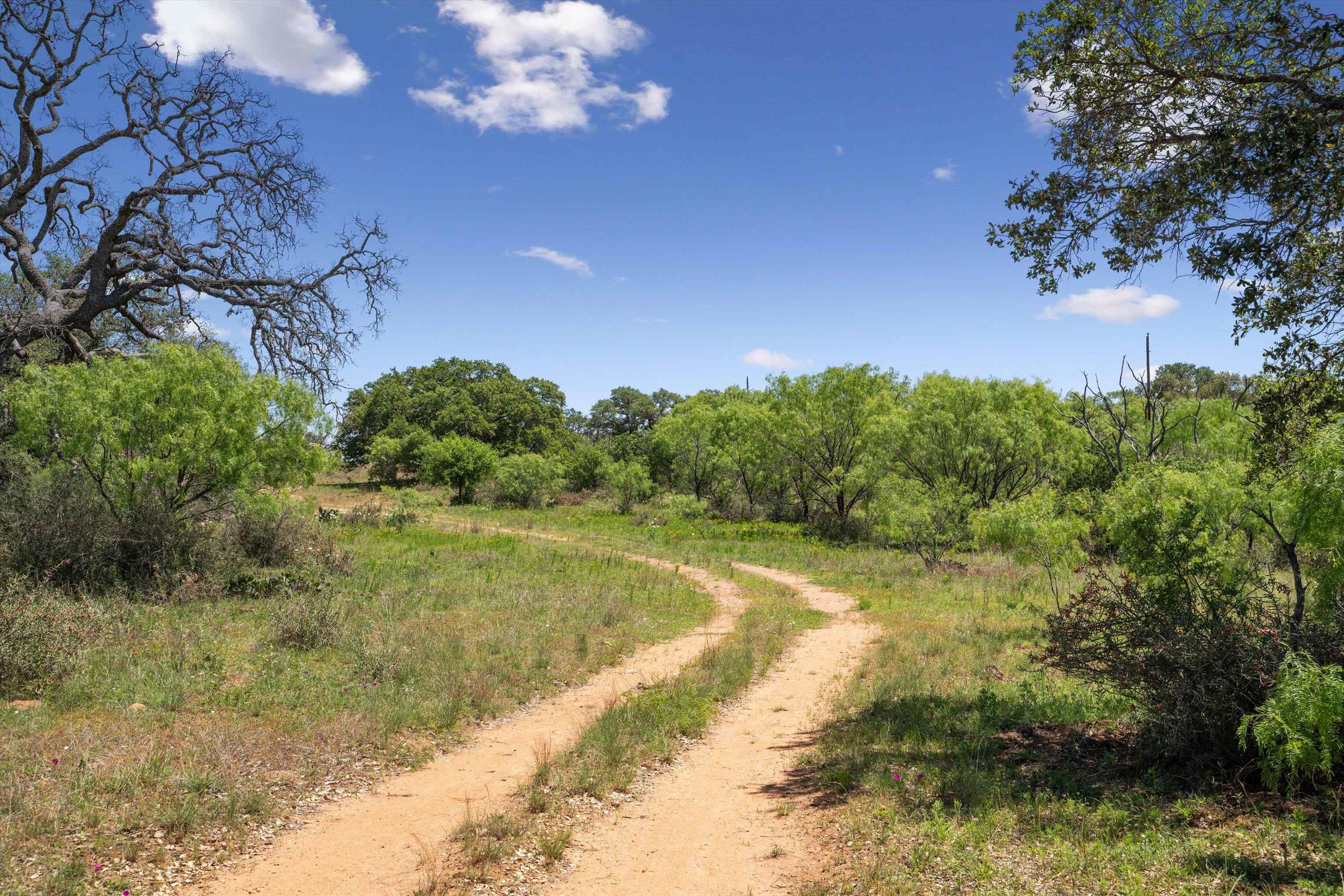 TBD County Road 405A