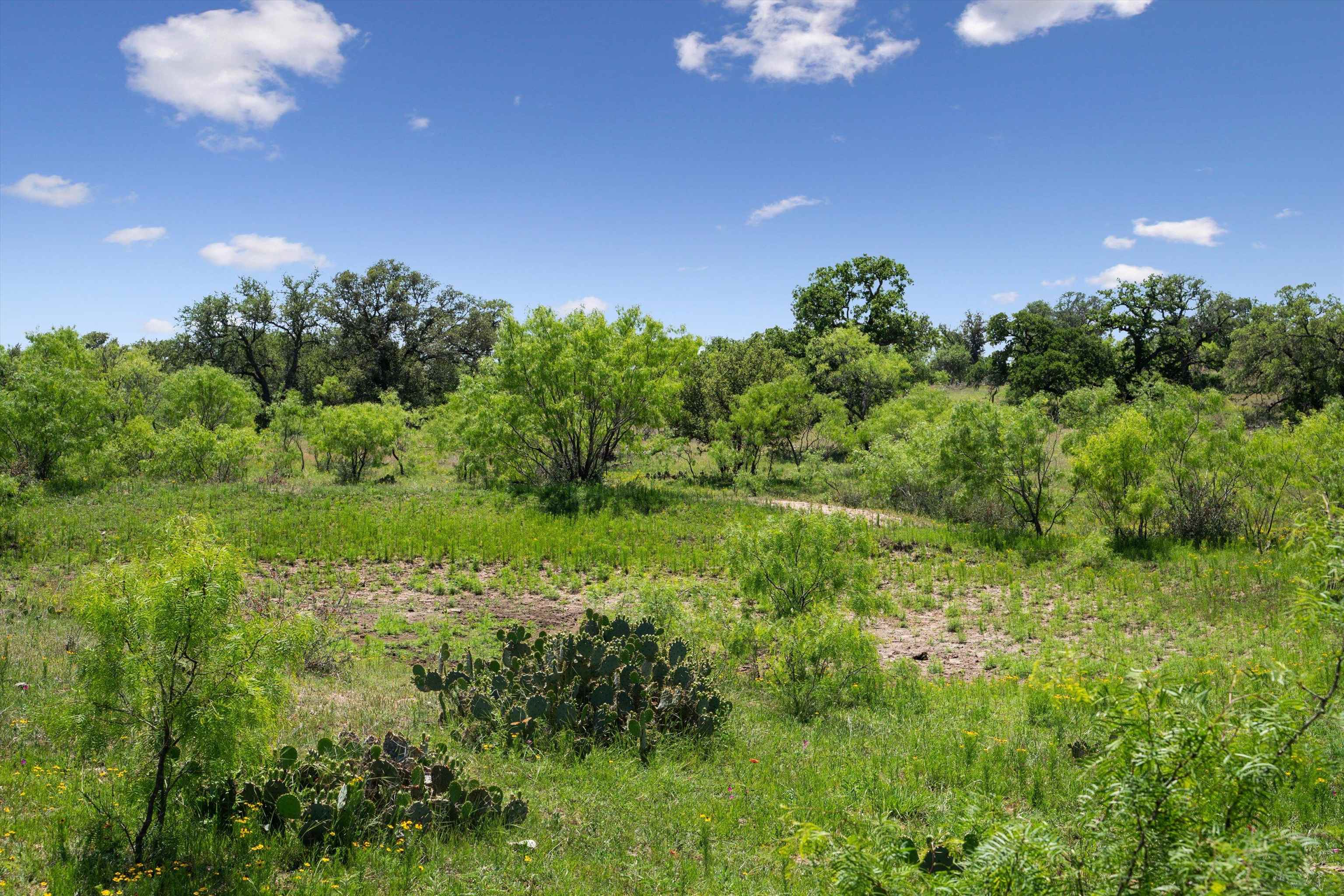 TBD County Road 405A