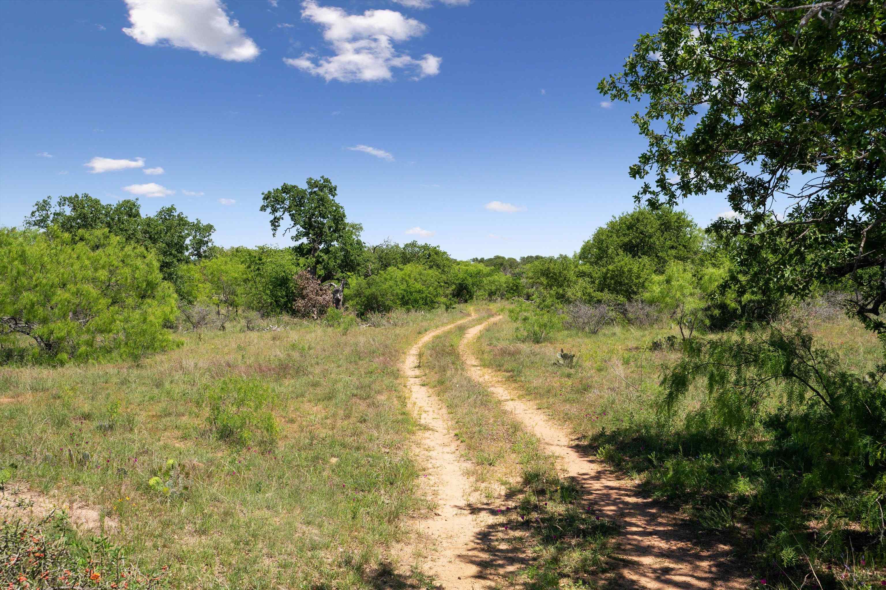 TBD County Road 405A