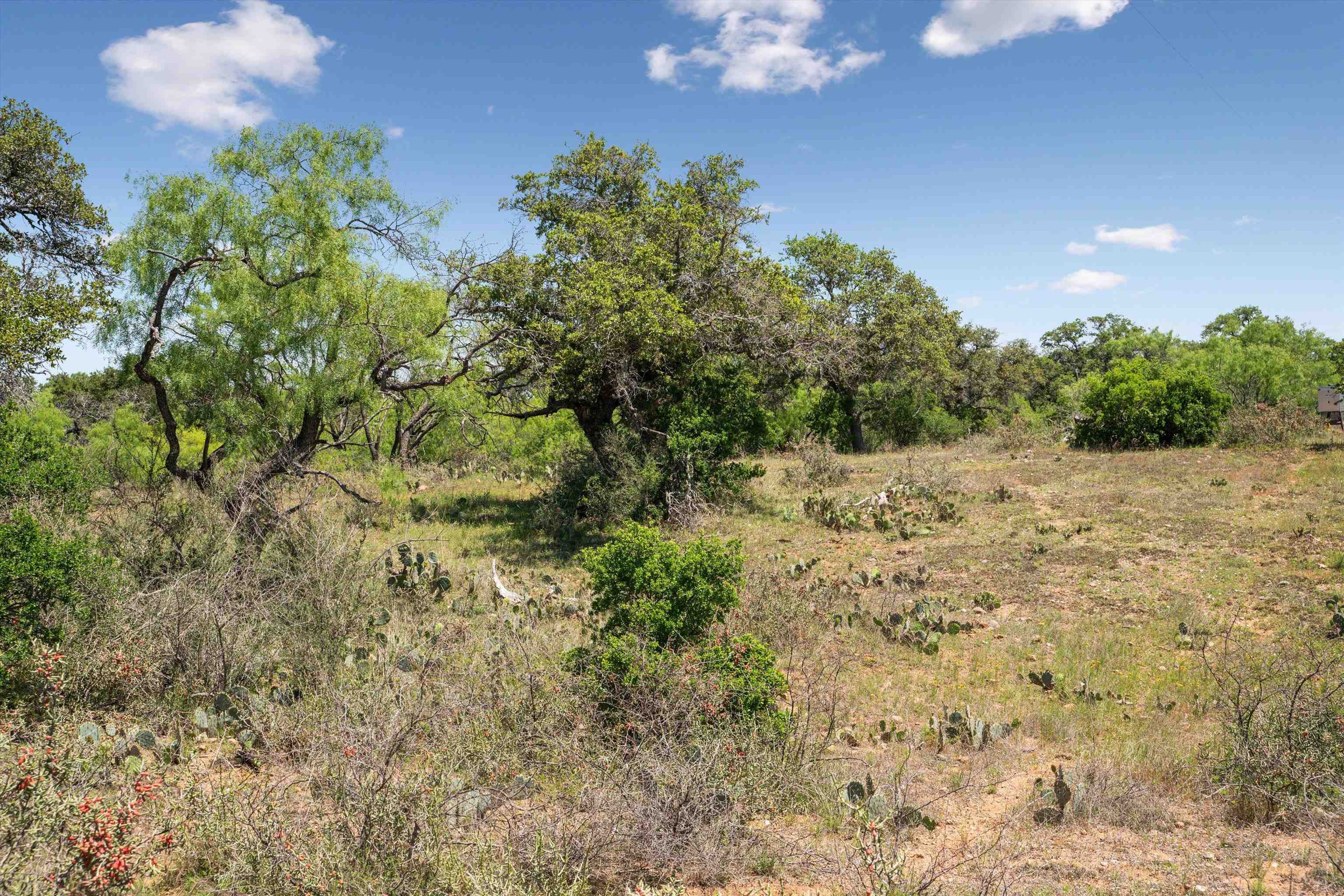 TBD County Road 405A