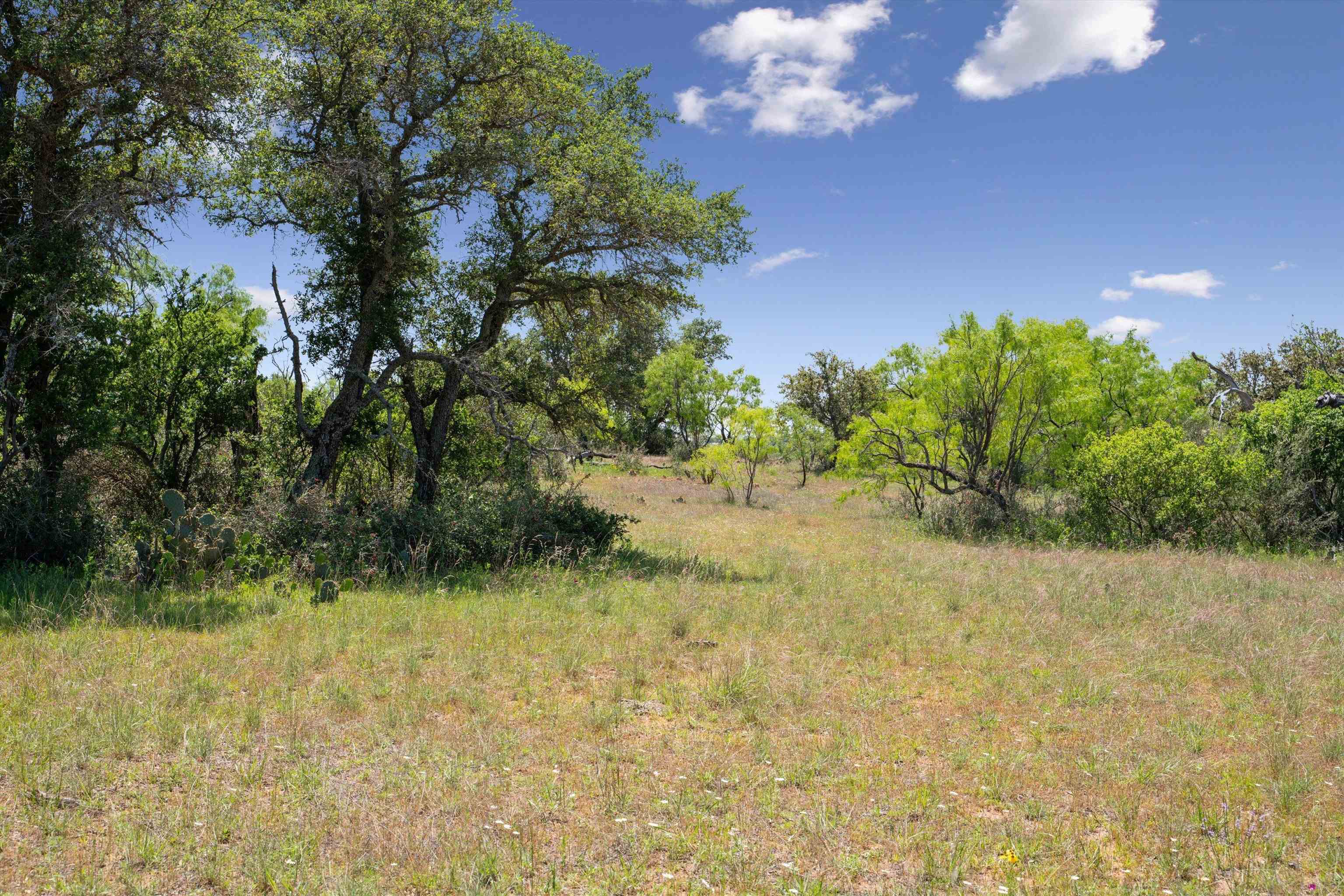 TBD County Road 405A