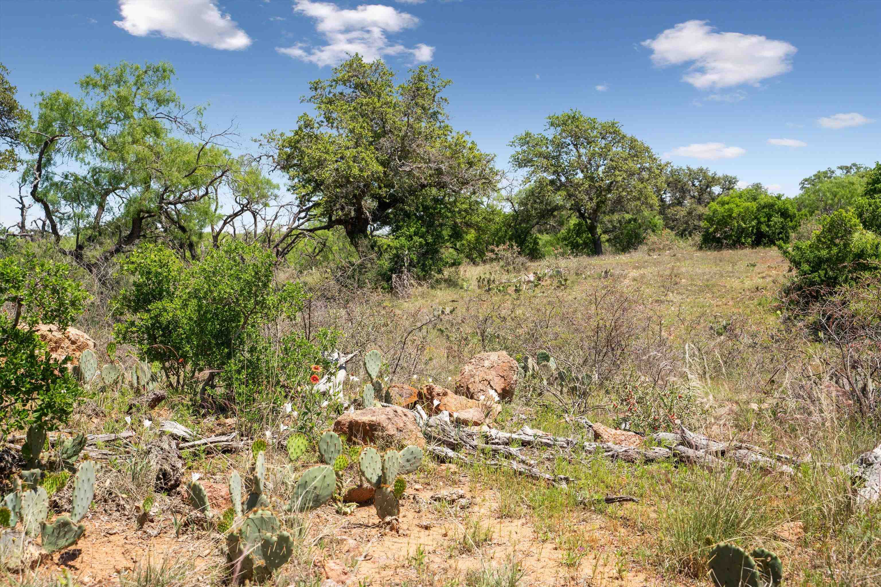 TBD County Road 405A