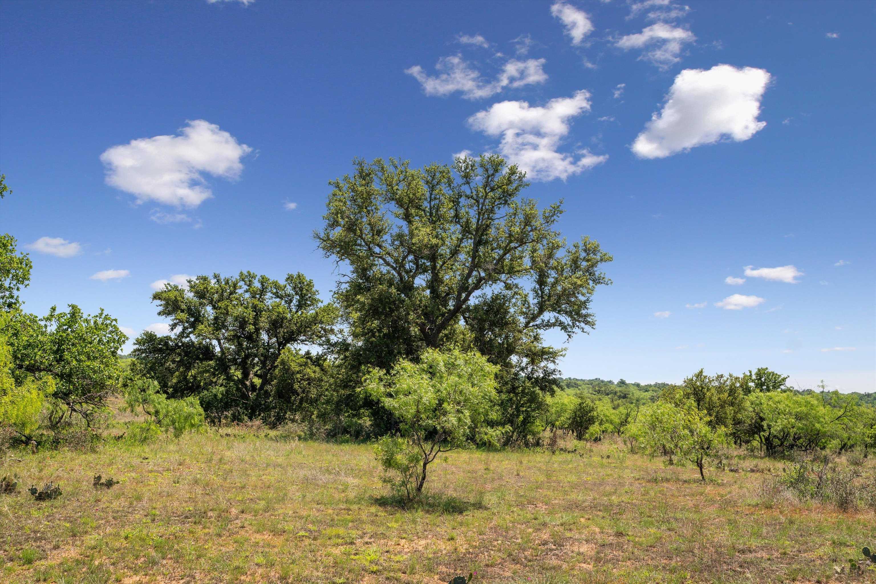 TBD County Road 405A