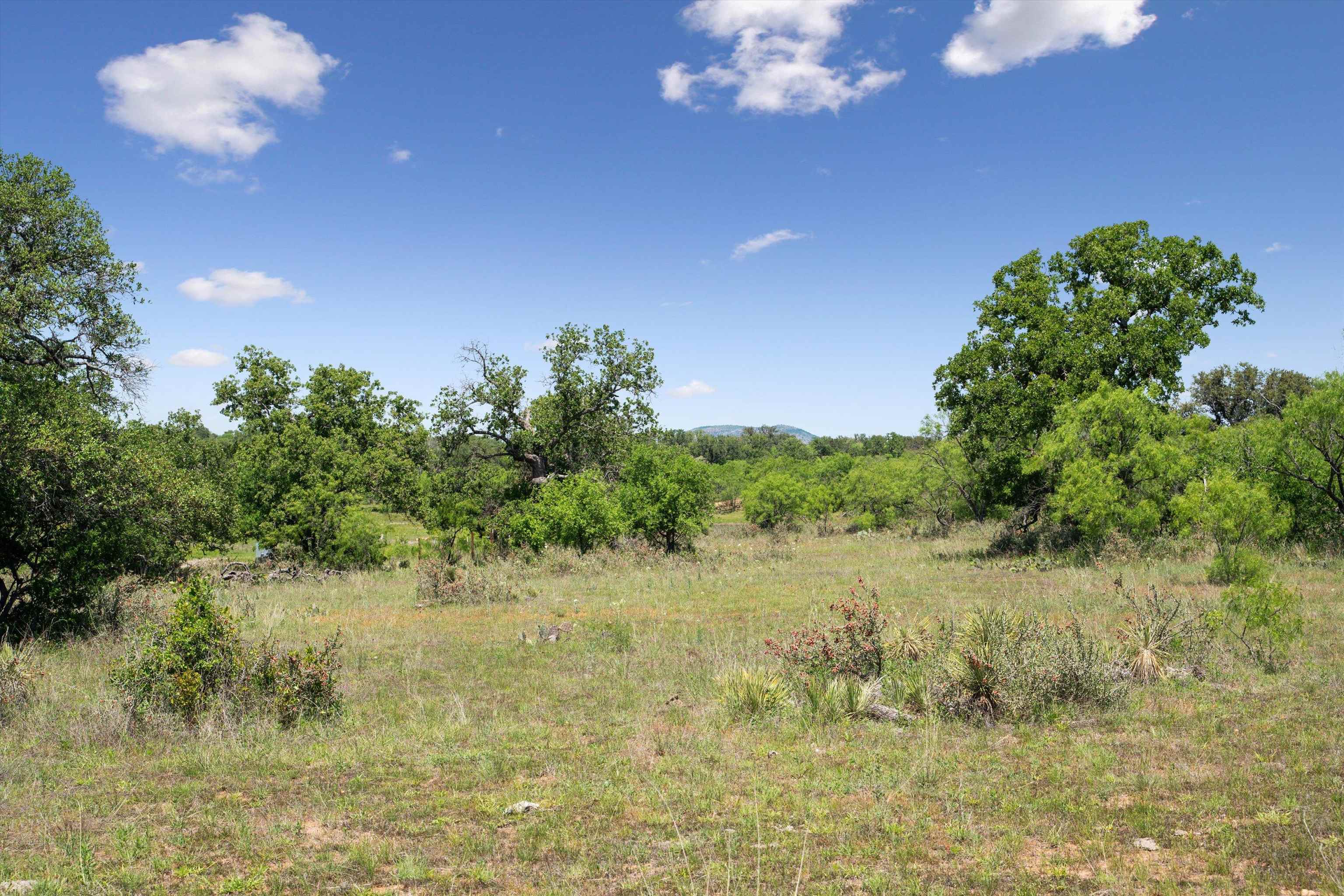 TBD County Road 405A