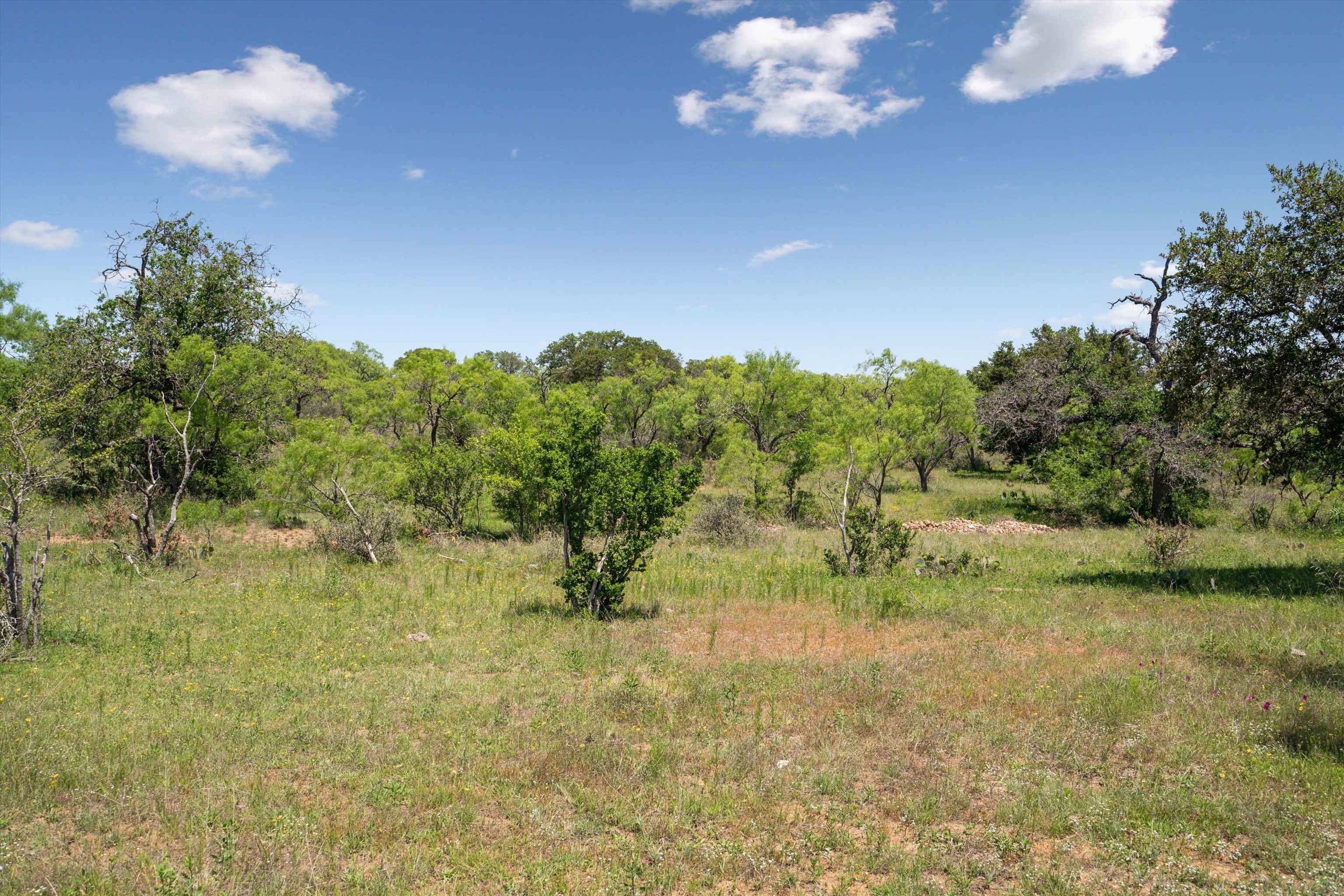 TBD County Road 405A