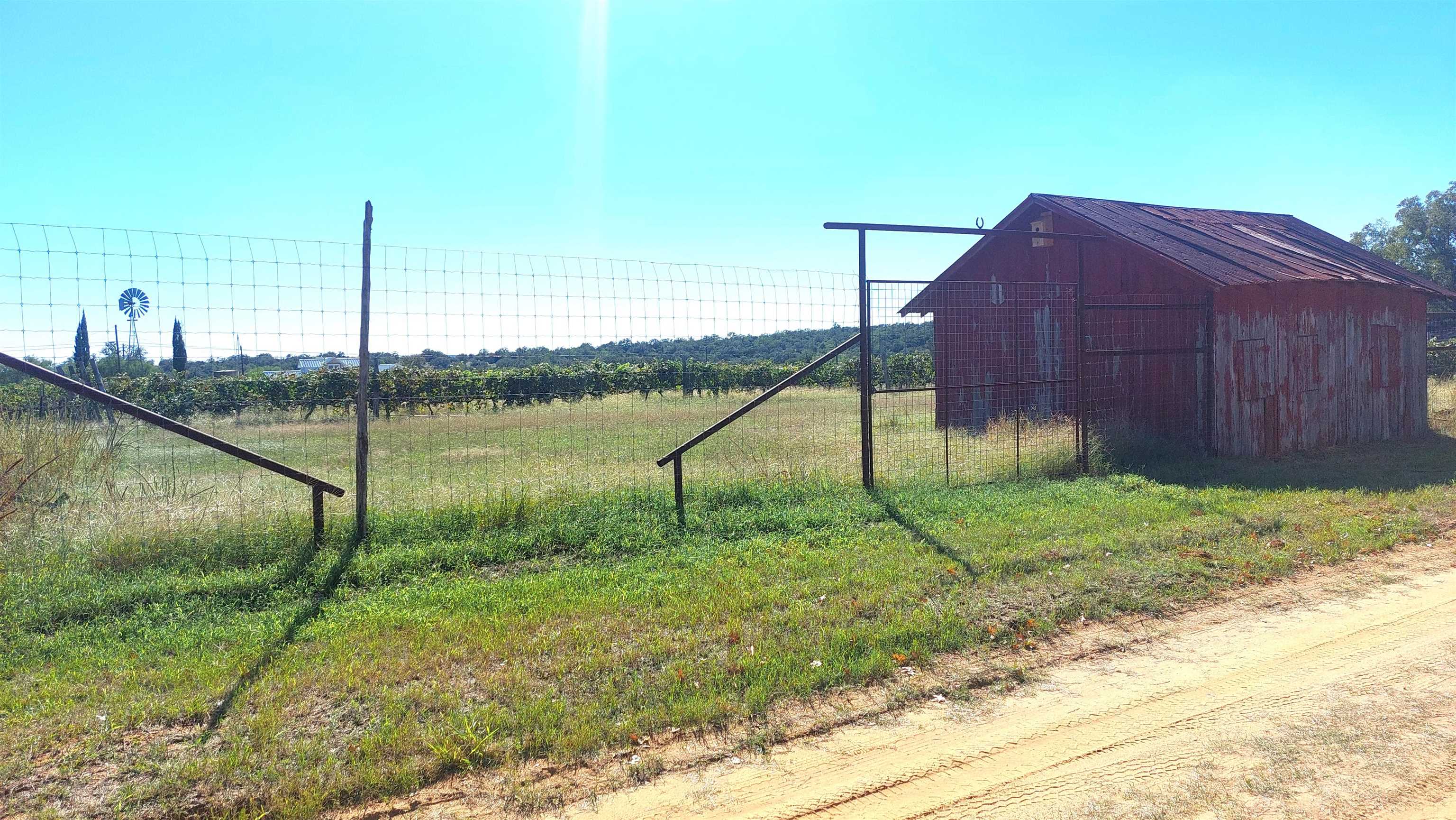 17502 College Street