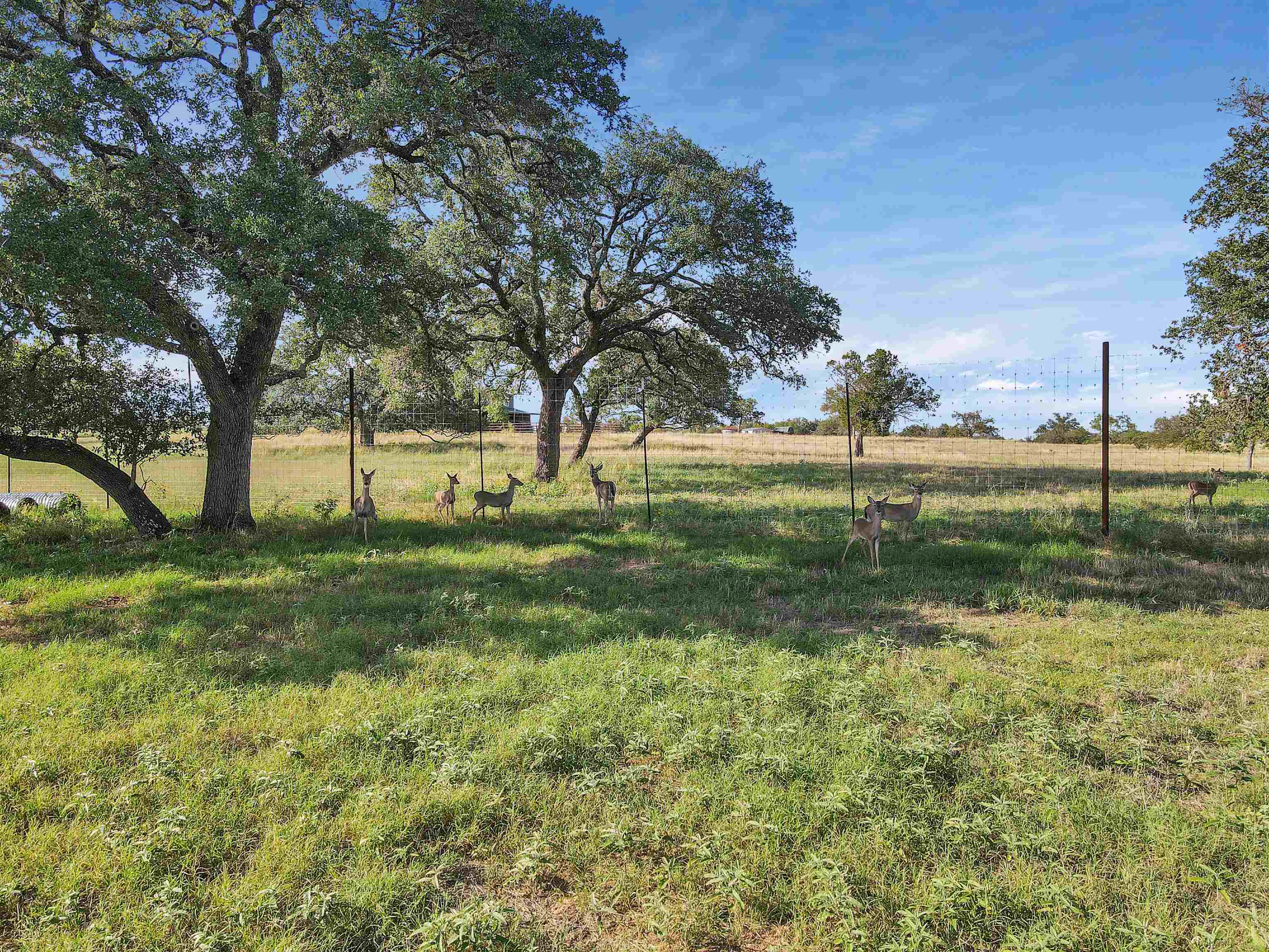 105 Wood Forest Road