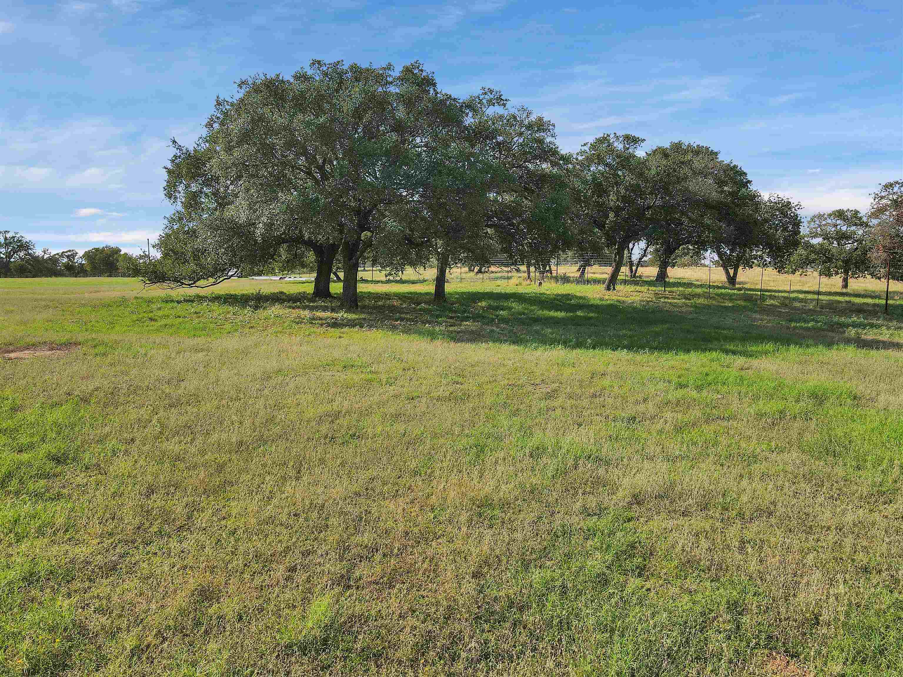 105 Wood Forest Road