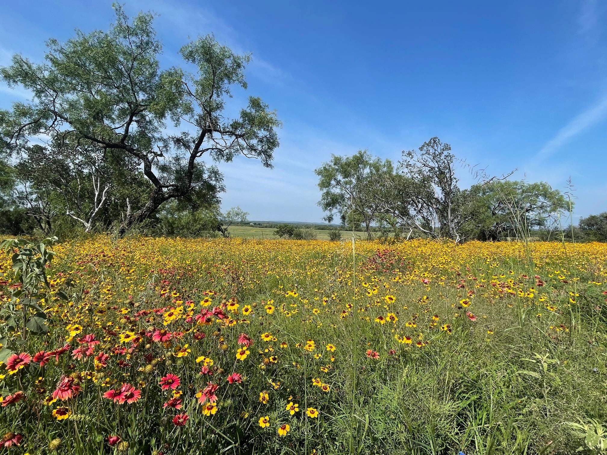 617 Llano River Road