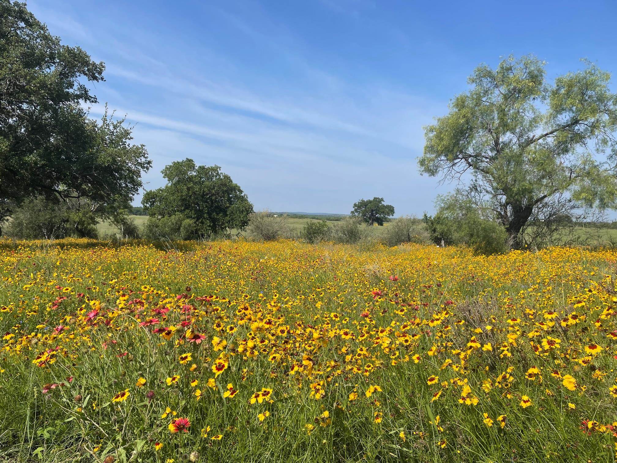 617 Llano River Road