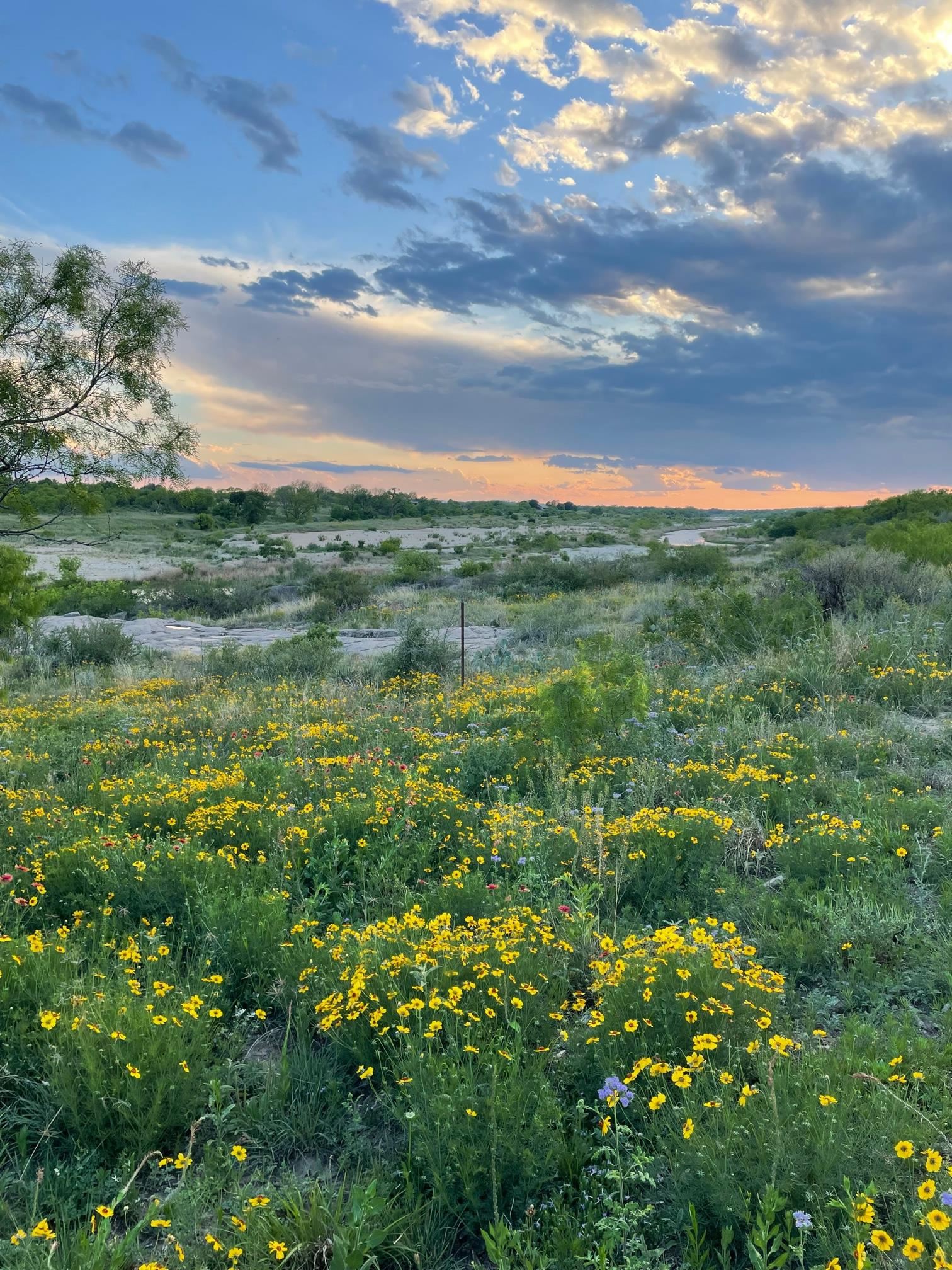 617 Llano River Road
