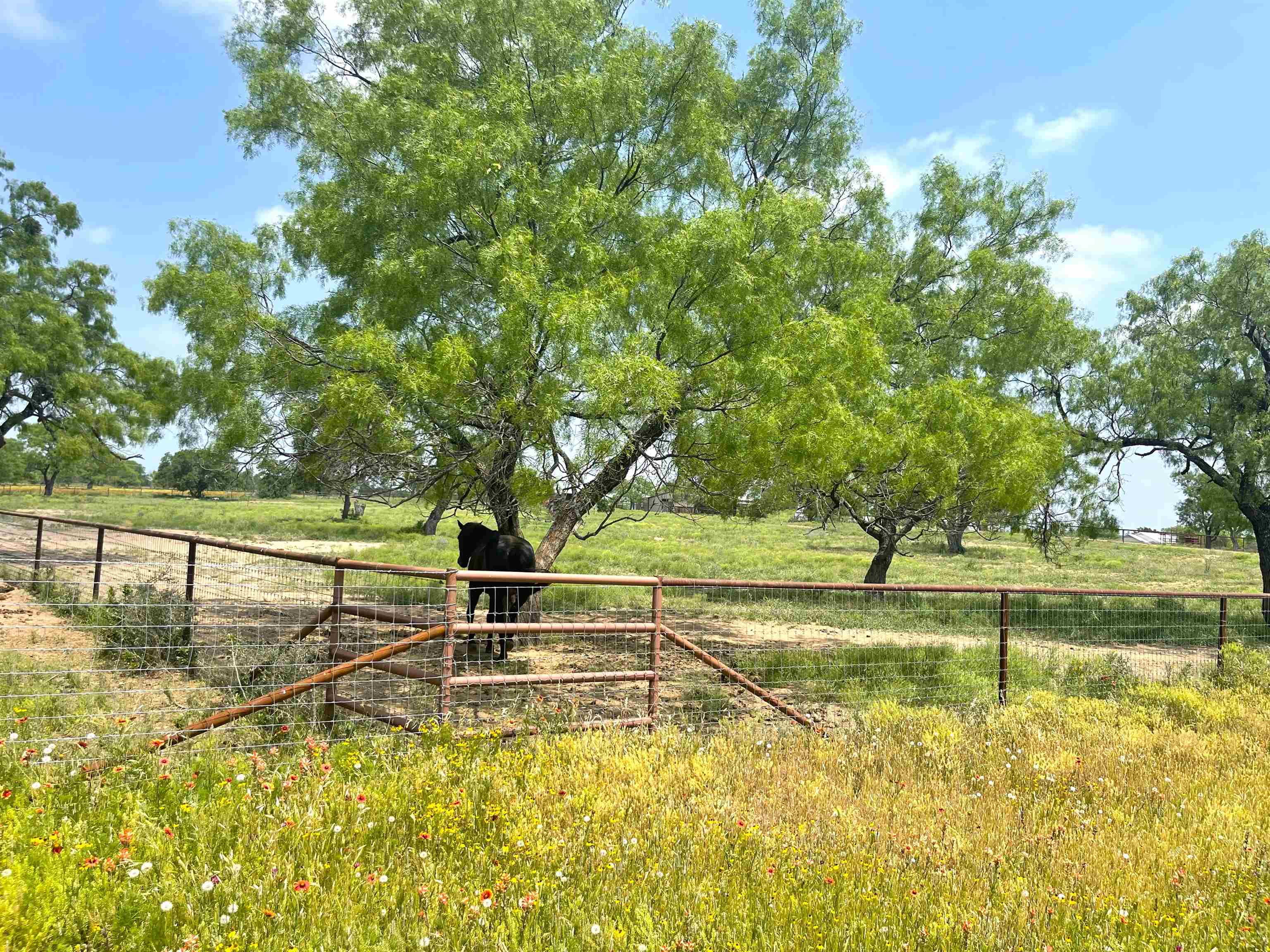 111 Valley View Lane