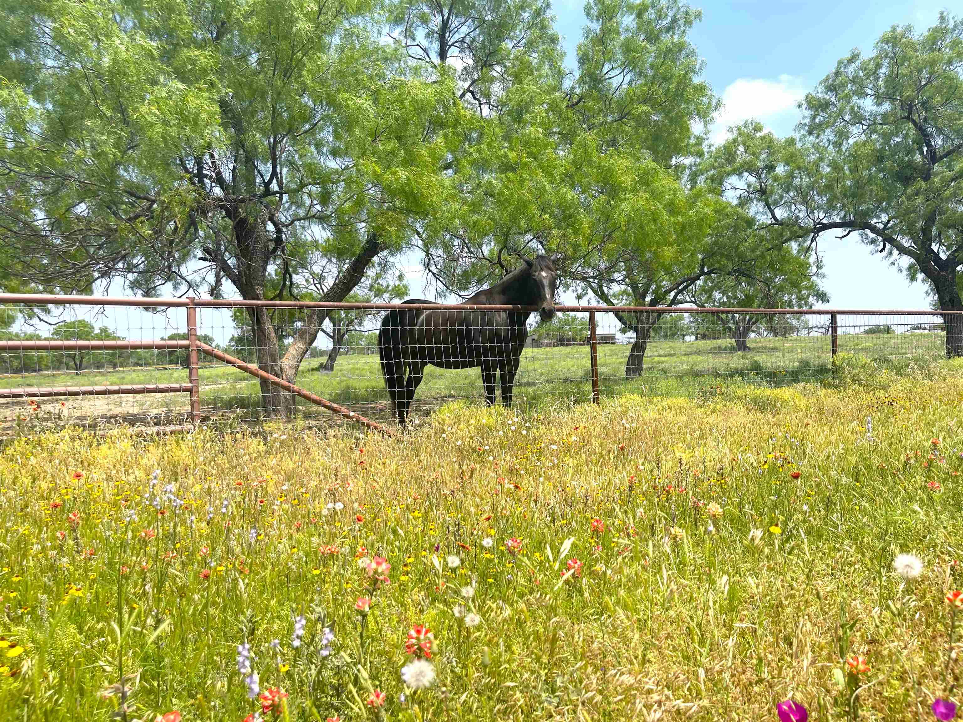 111 Valley View Lane