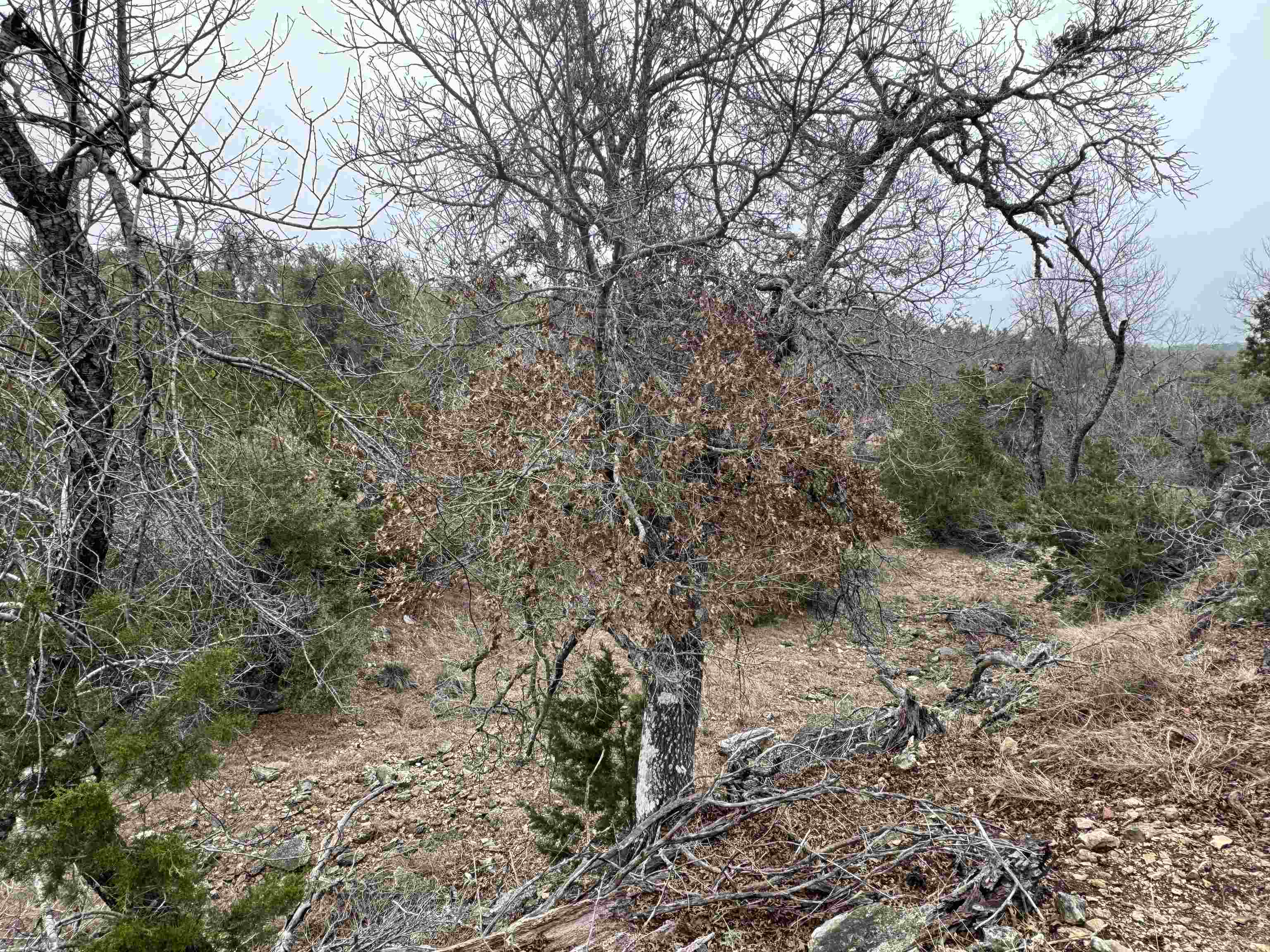 1501 Ahrens-Crenwelge Rd Road