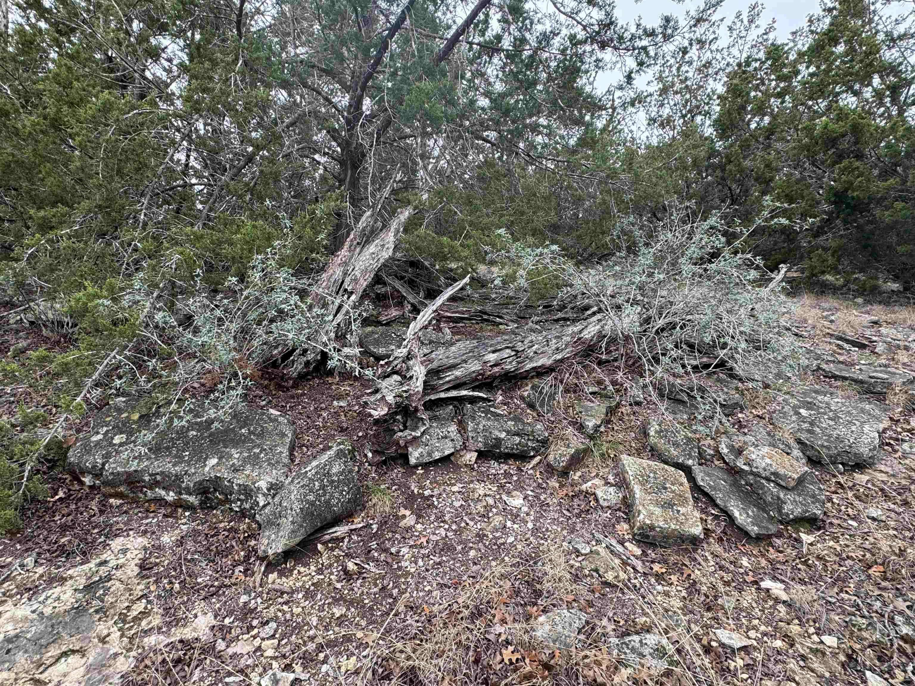 1501 Ahrens-Crenwelge Rd Road