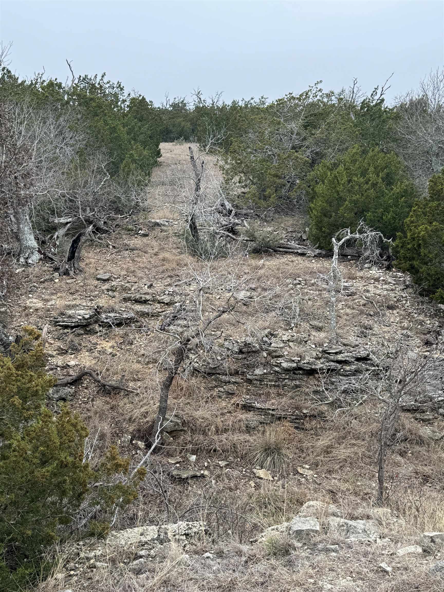 1501 Ahrens-Crenwelge Rd Road