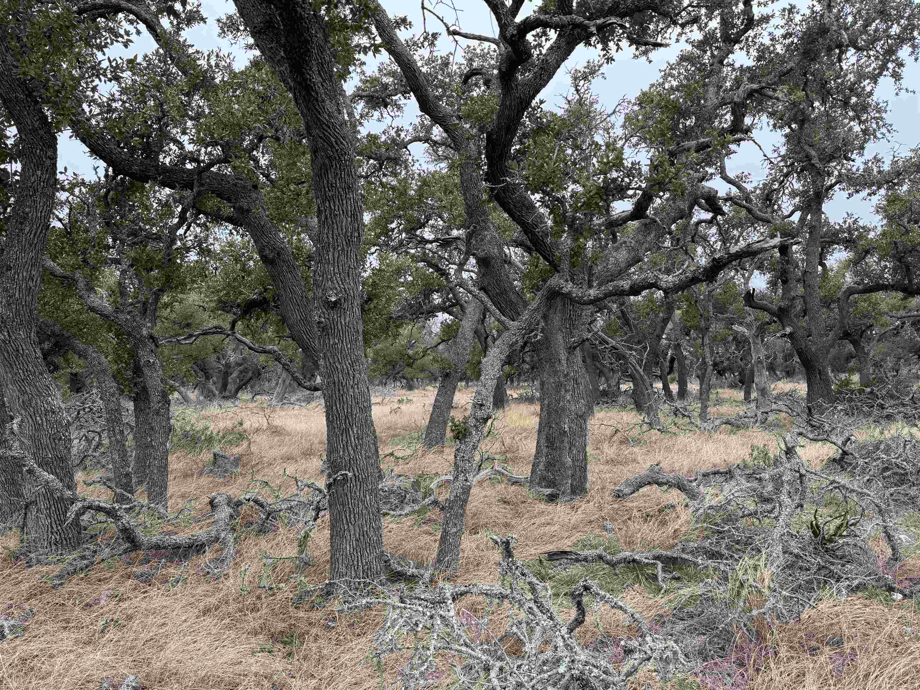 1501 Ahrens-Crenwelge Rd Road