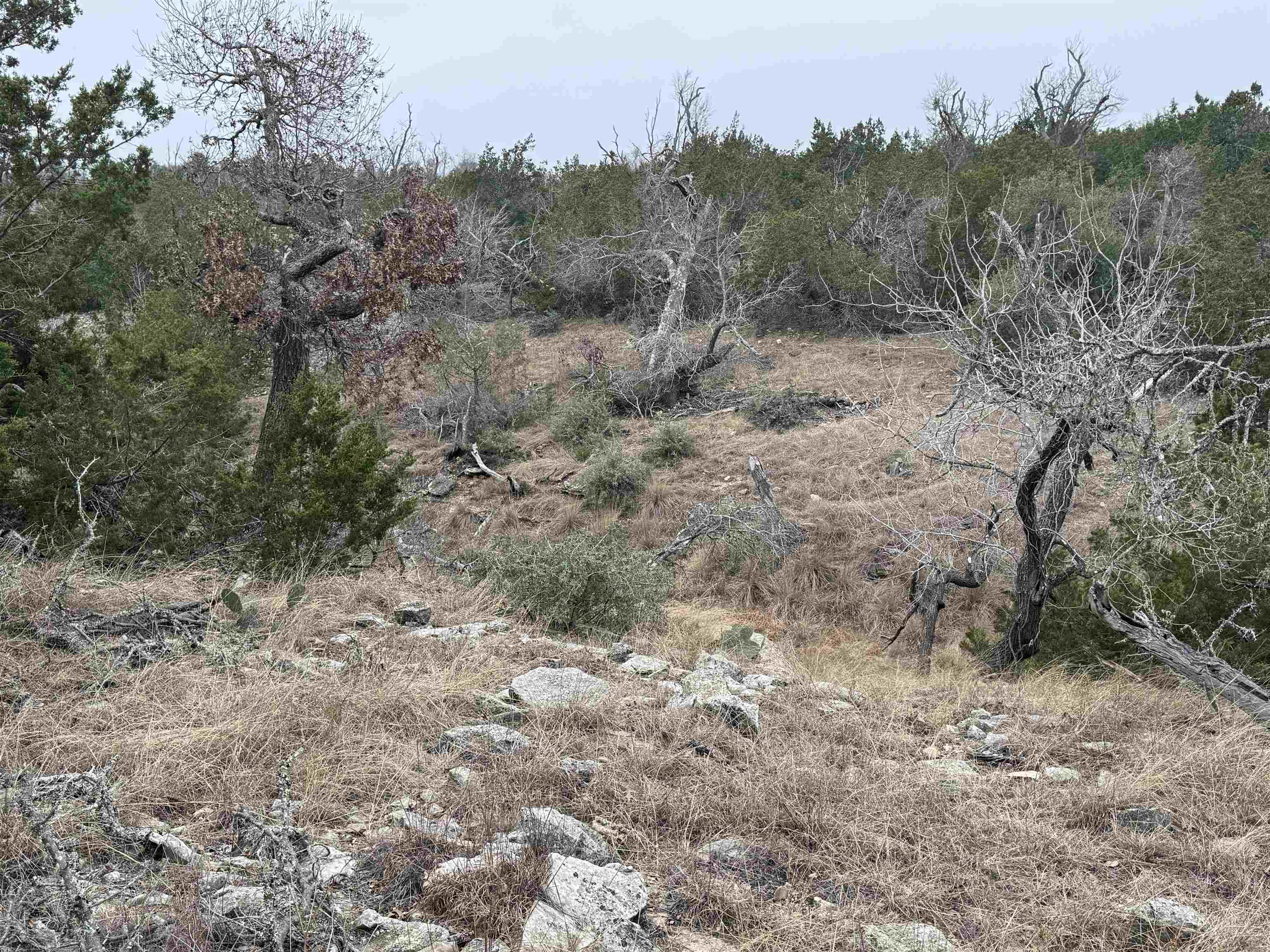 1501 Ahrens-Crenwelge Rd Road