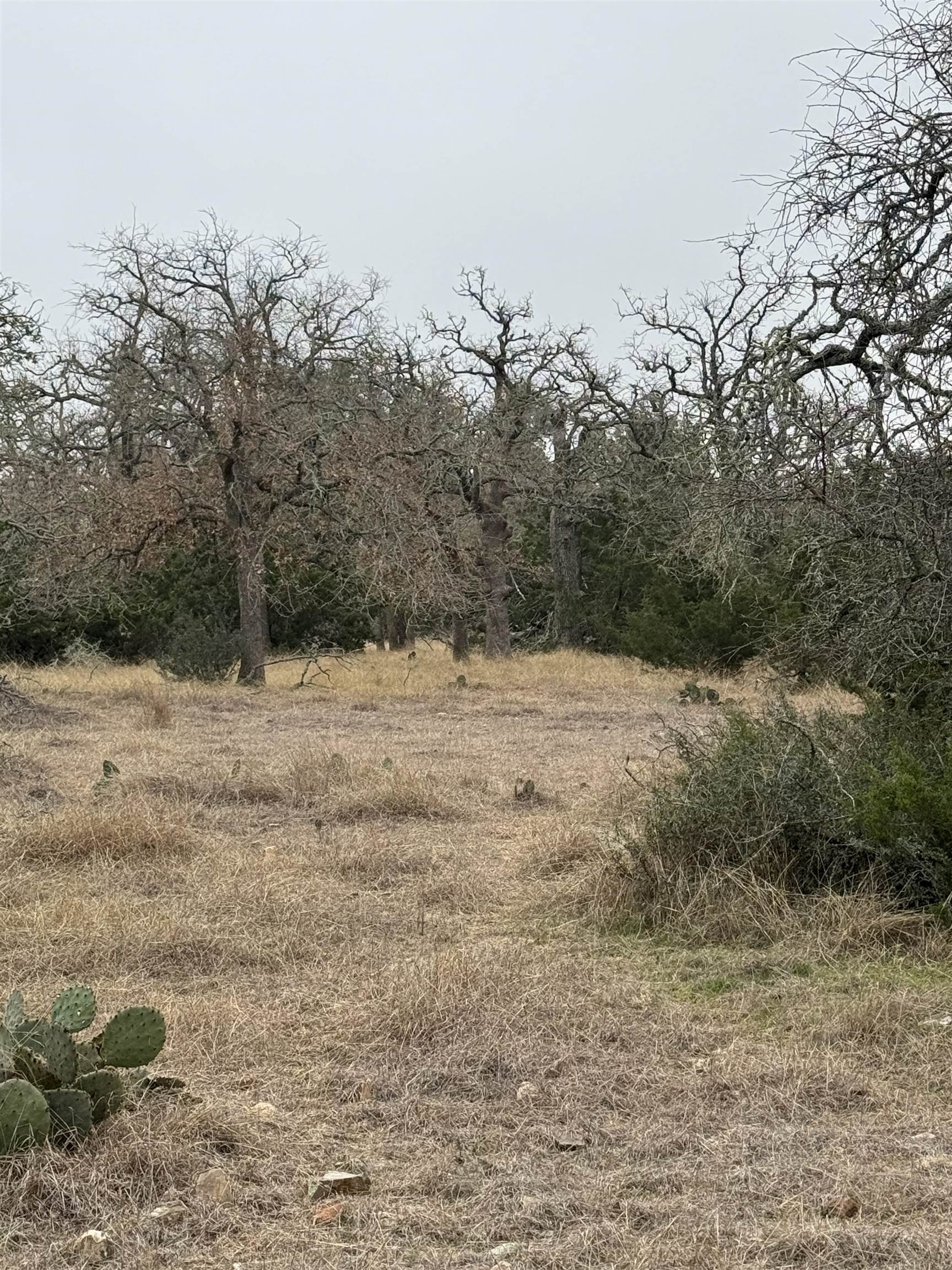 1501 Ahrens-Crenwelge Rd Road