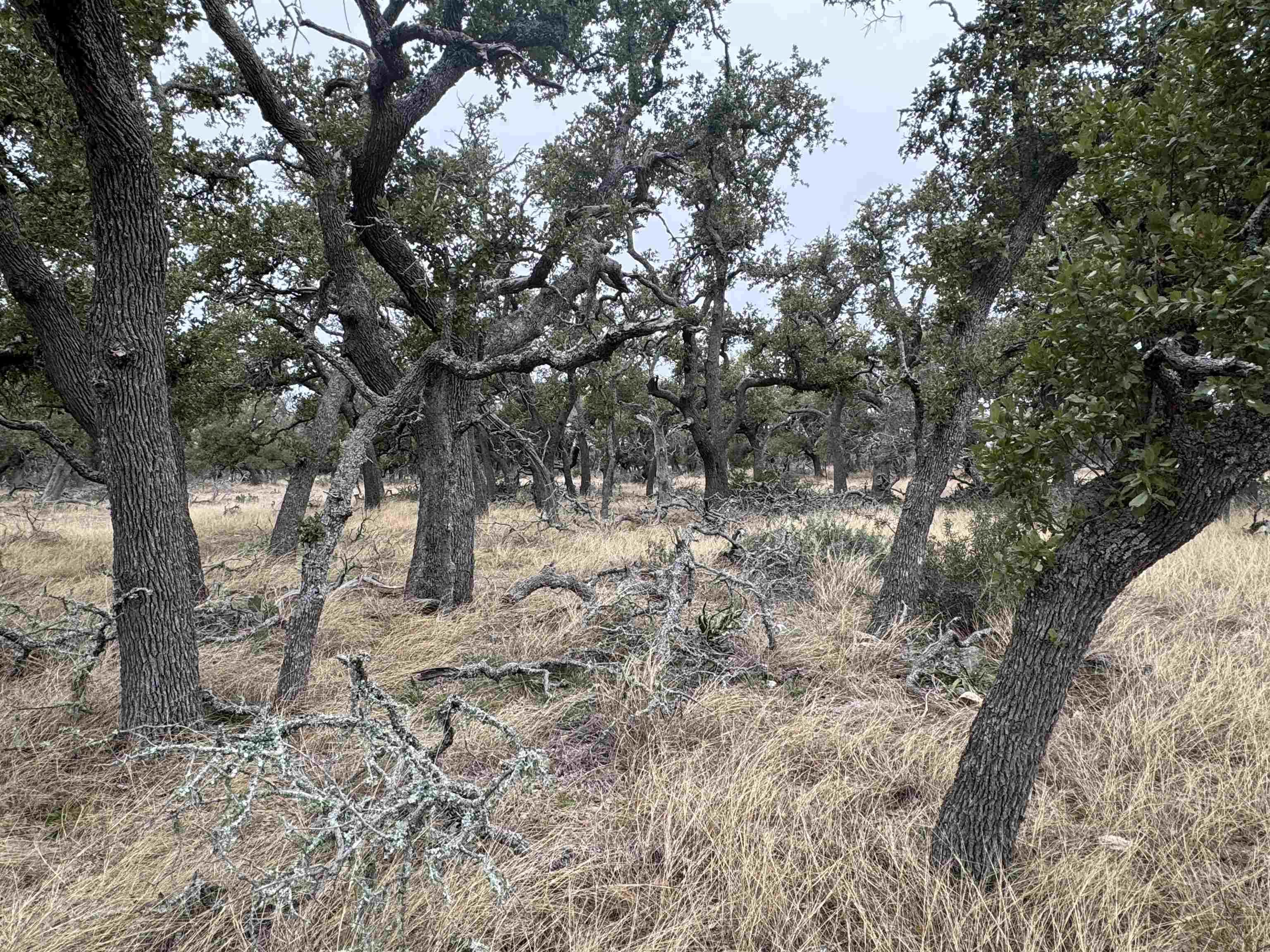 1501 Ahrens-Crenwelge Rd Road