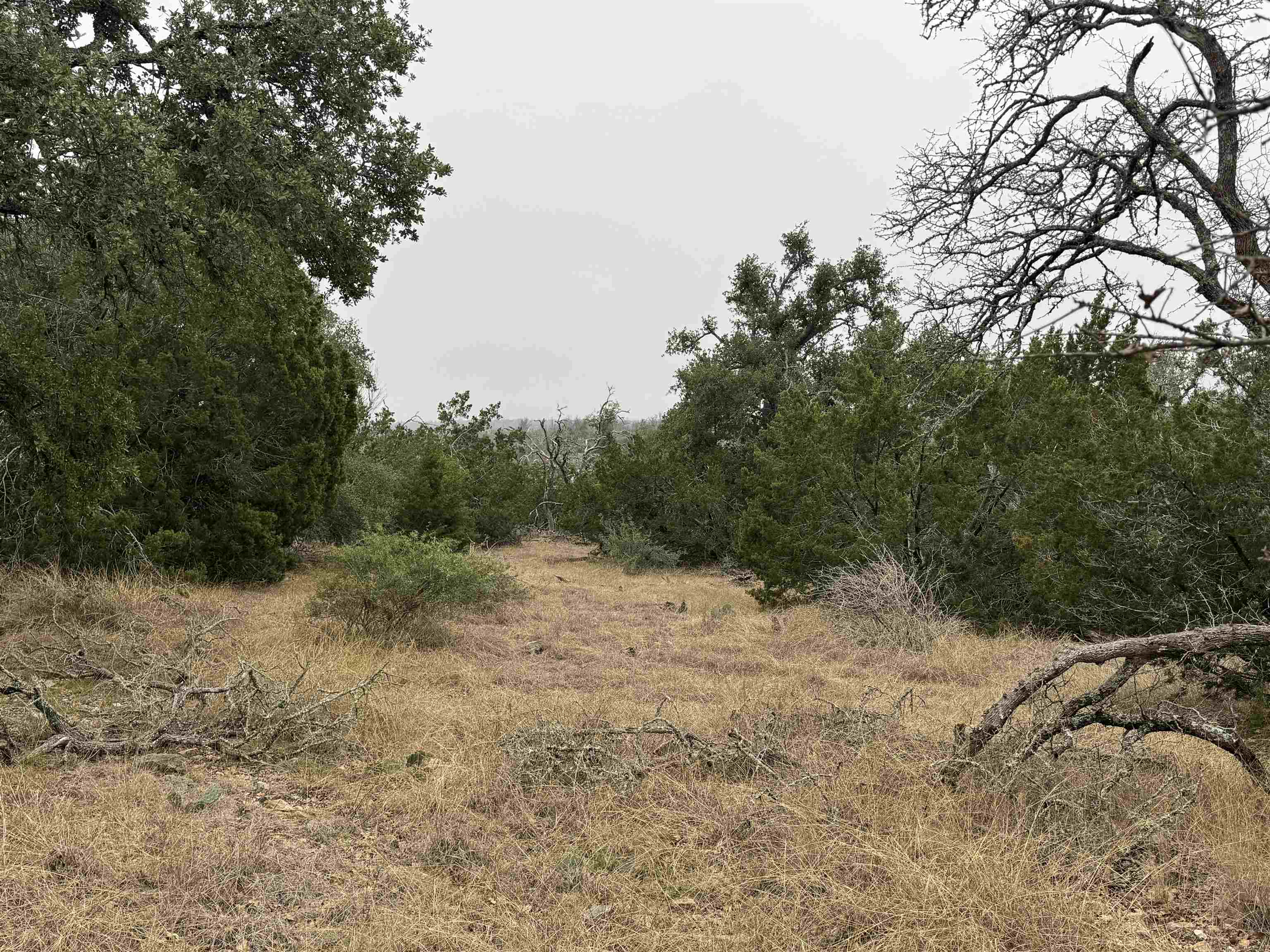 1501 Ahrens-Crenwelge Rd Road