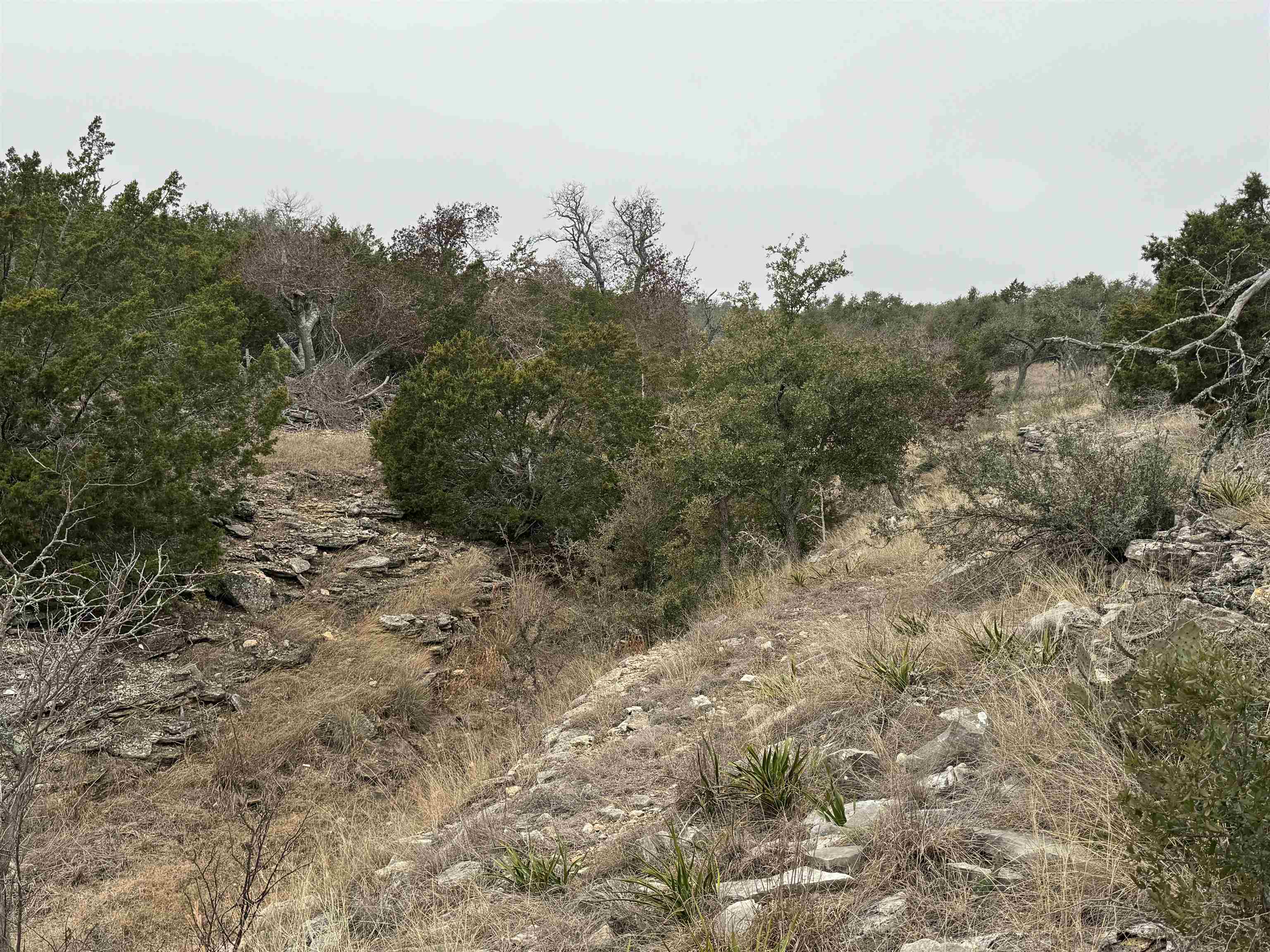 1501 Ahrens-Crenwelge Rd Road