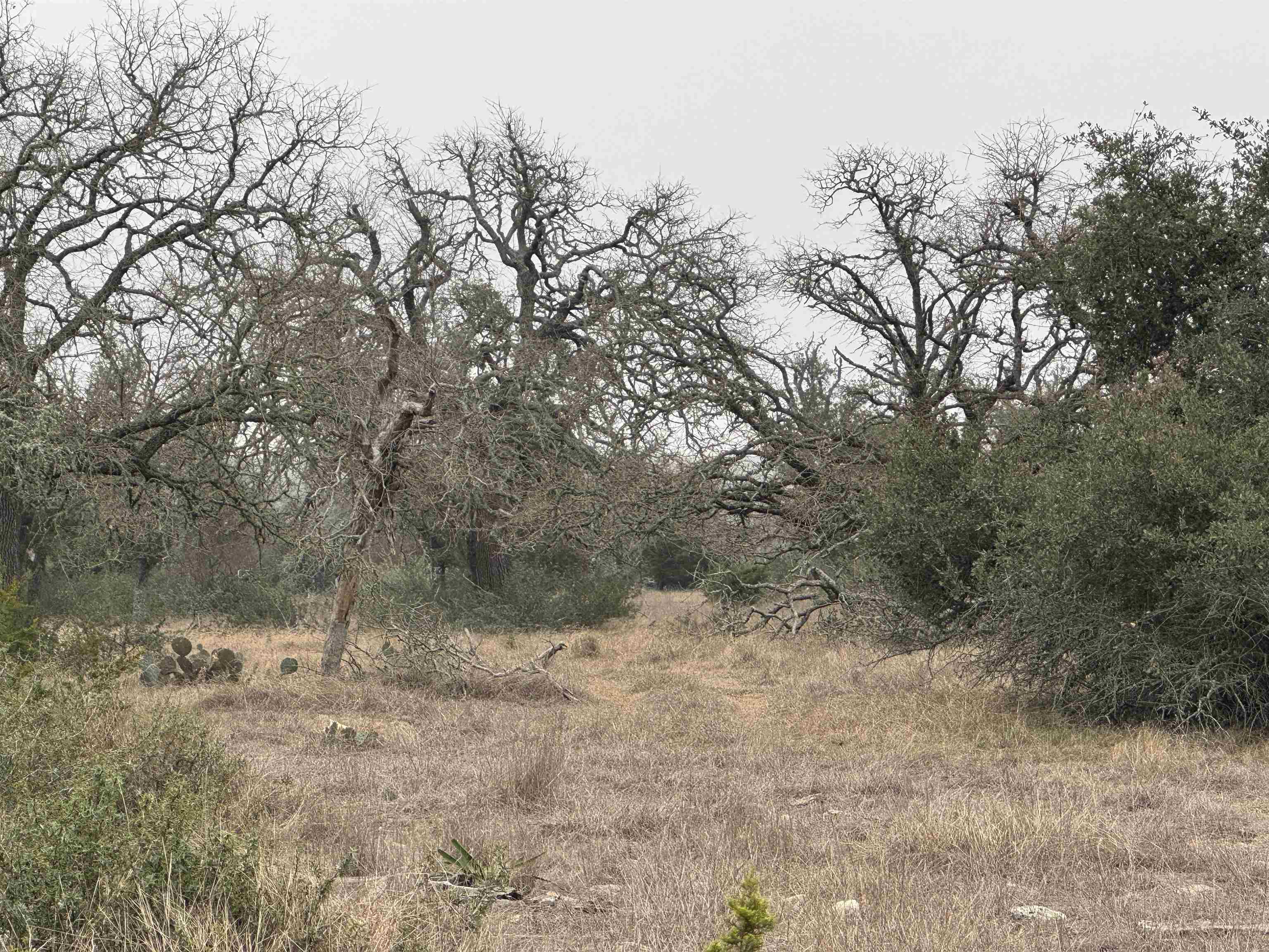 1501 Ahrens-Crenwelge Rd Road