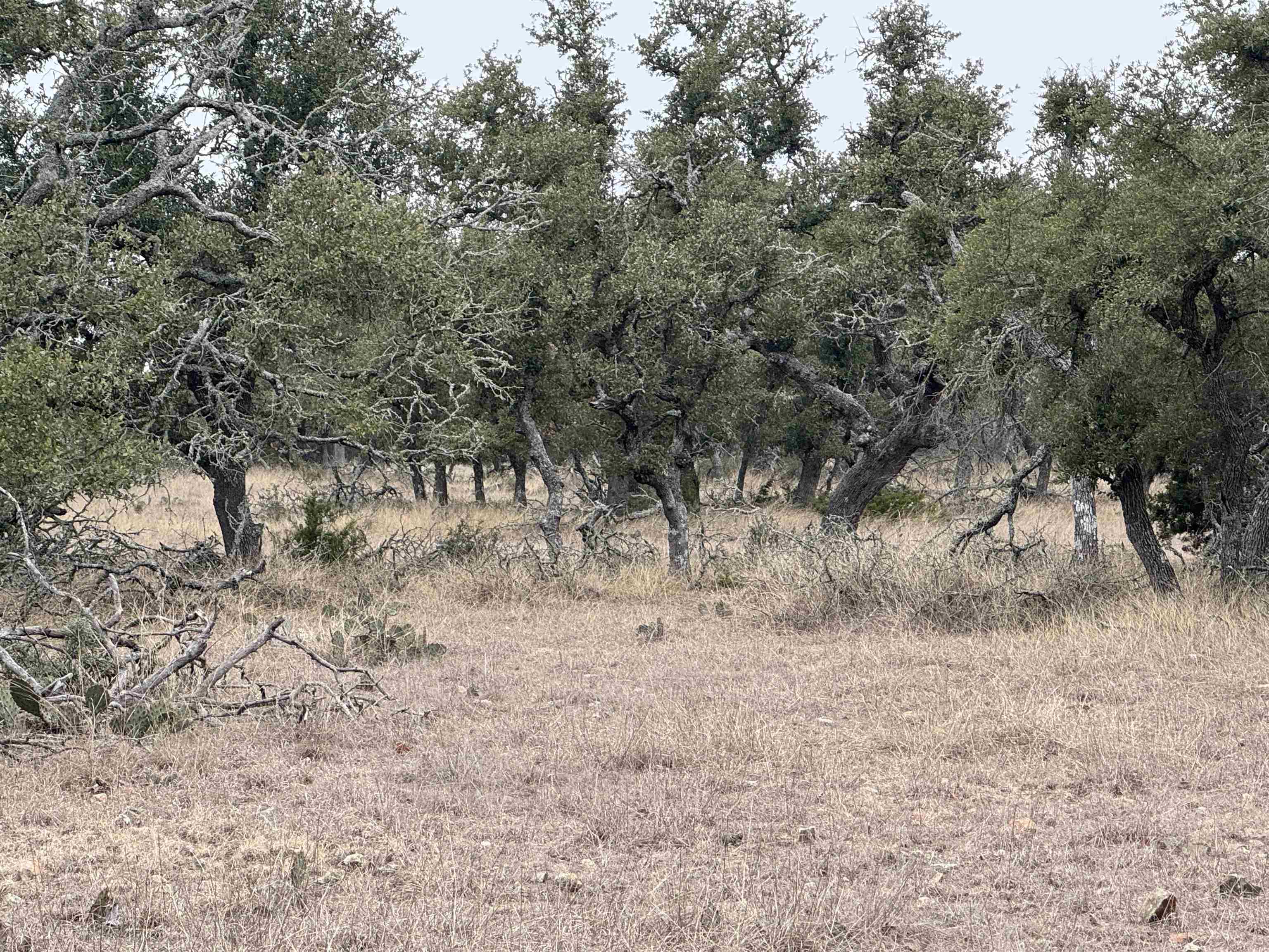 1501 Ahrens-Crenwelge Rd Road