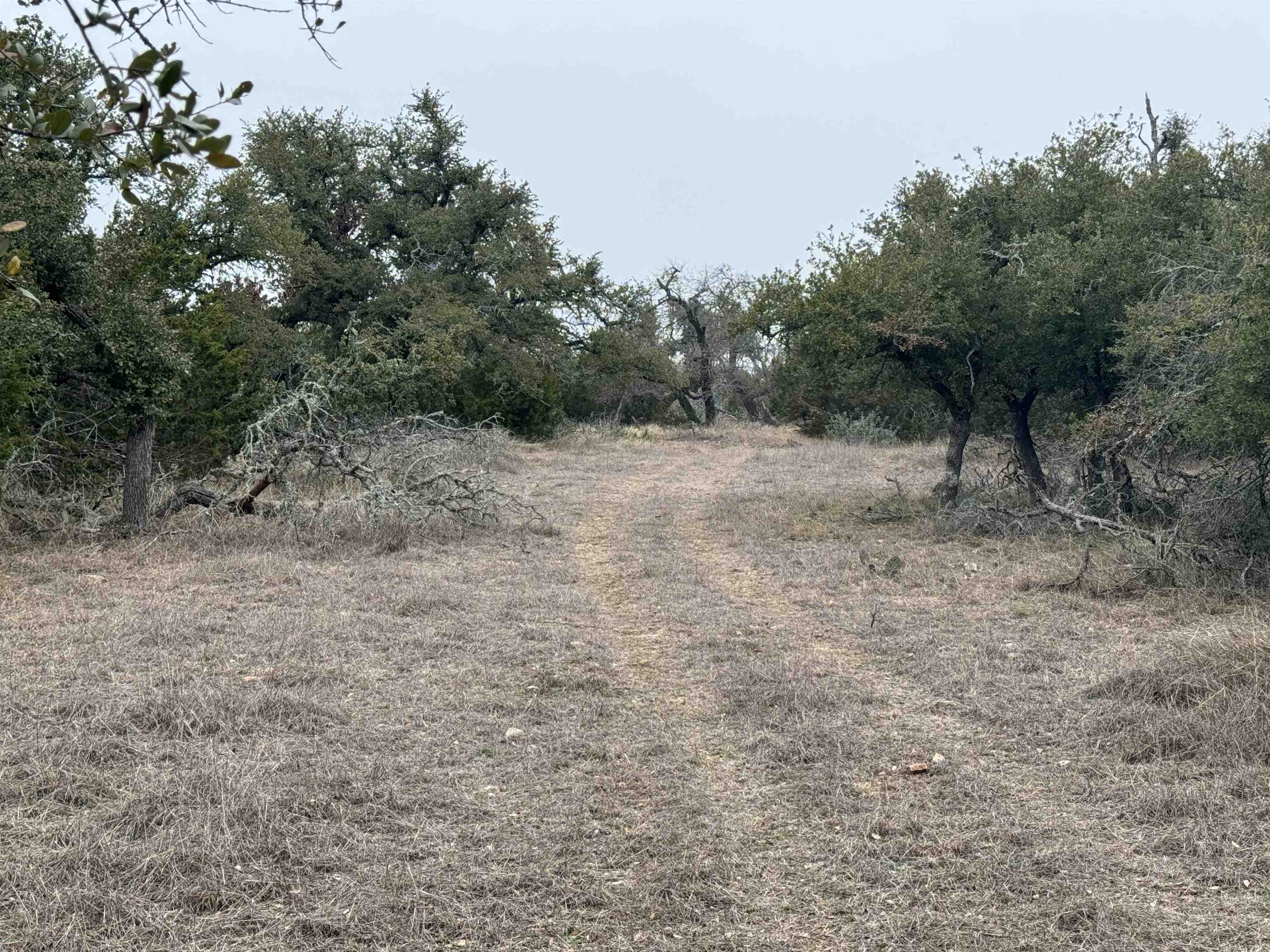 1501 Ahrens-Crenwelge Rd Road