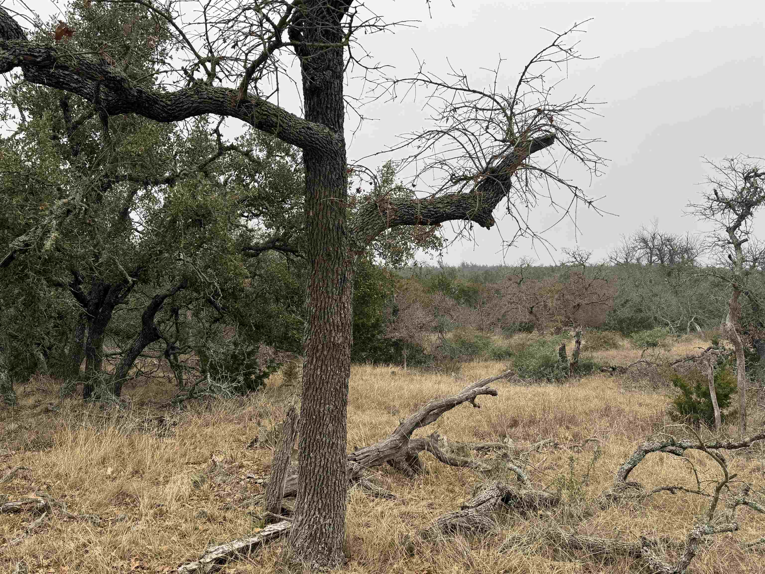 1501 Ahrens-Crenwelge Rd Road