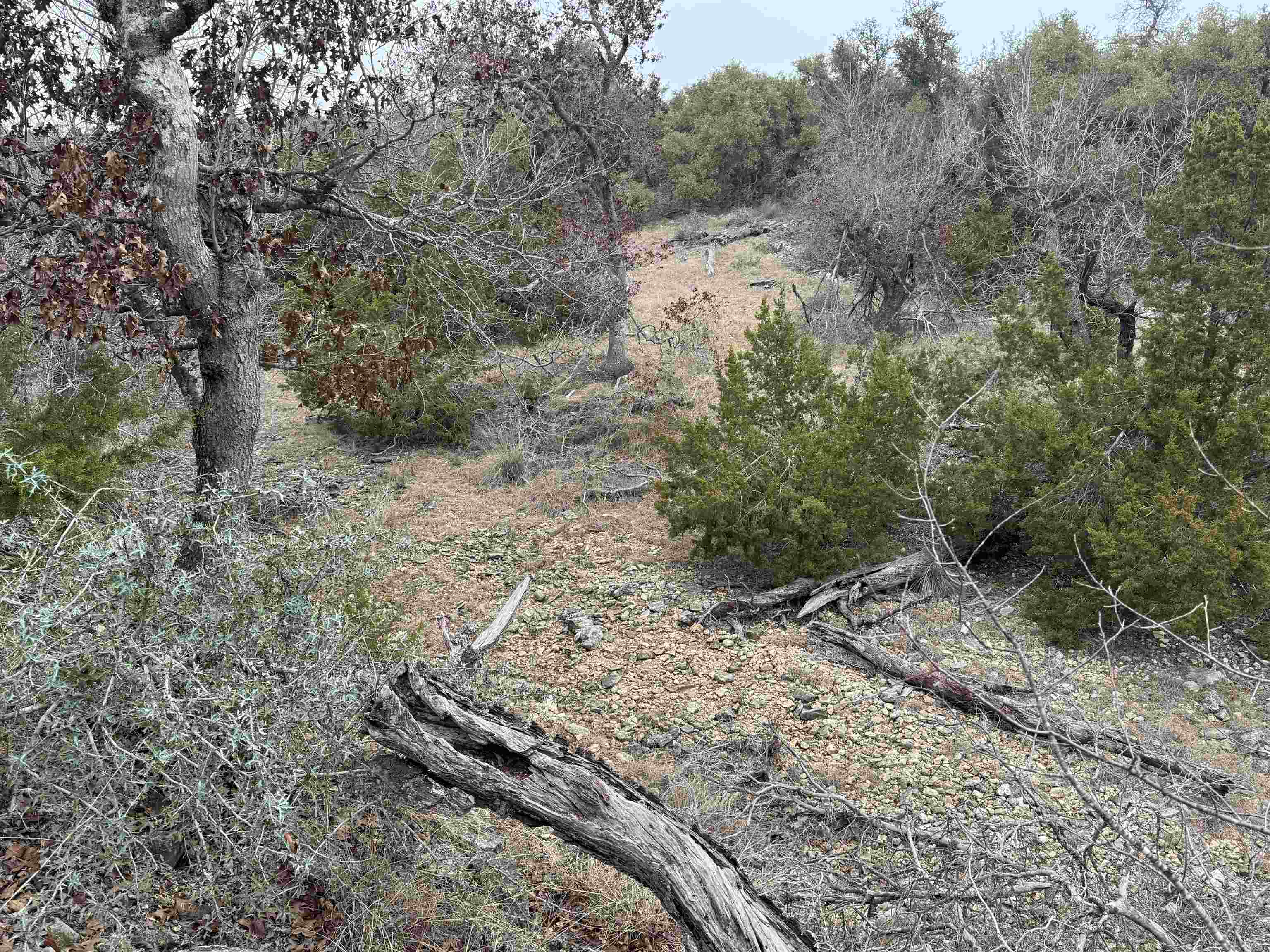 1501 Ahrens-Crenwelge Rd Road